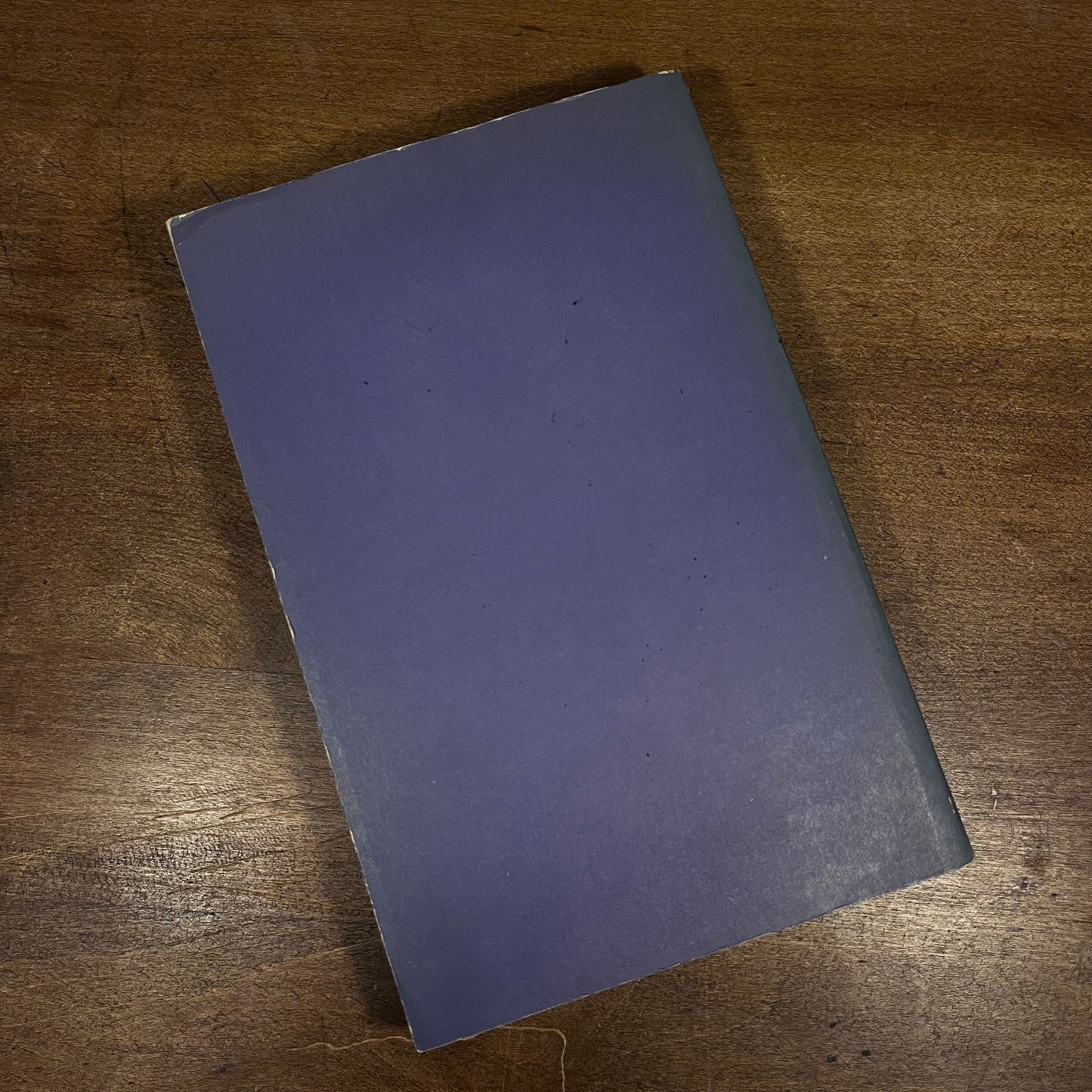 Western Europe in the Middle Ages by Joseph R. Strayer (1955) Vintage Paperback Book