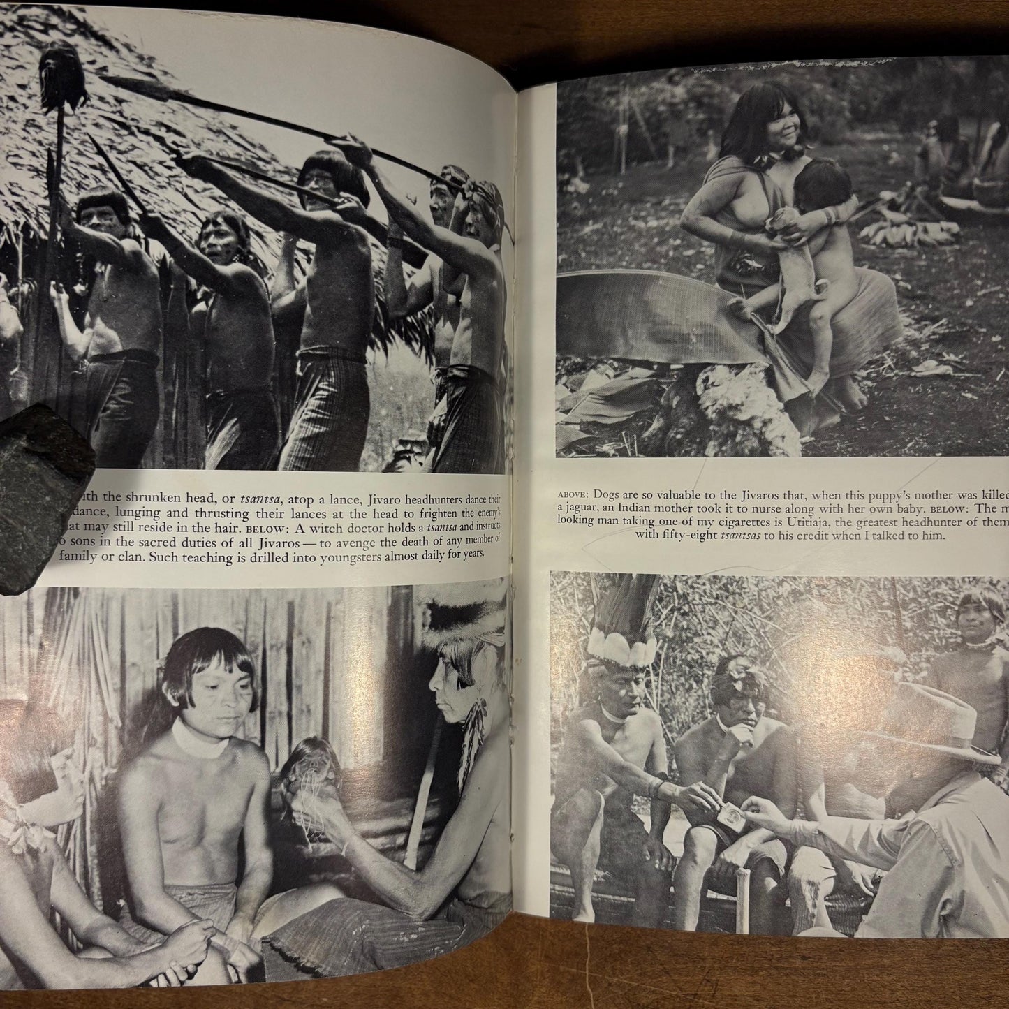 First Printing - In Search of the Primitive / Lewis Cotlow (1966) Vintage Hardcover Book