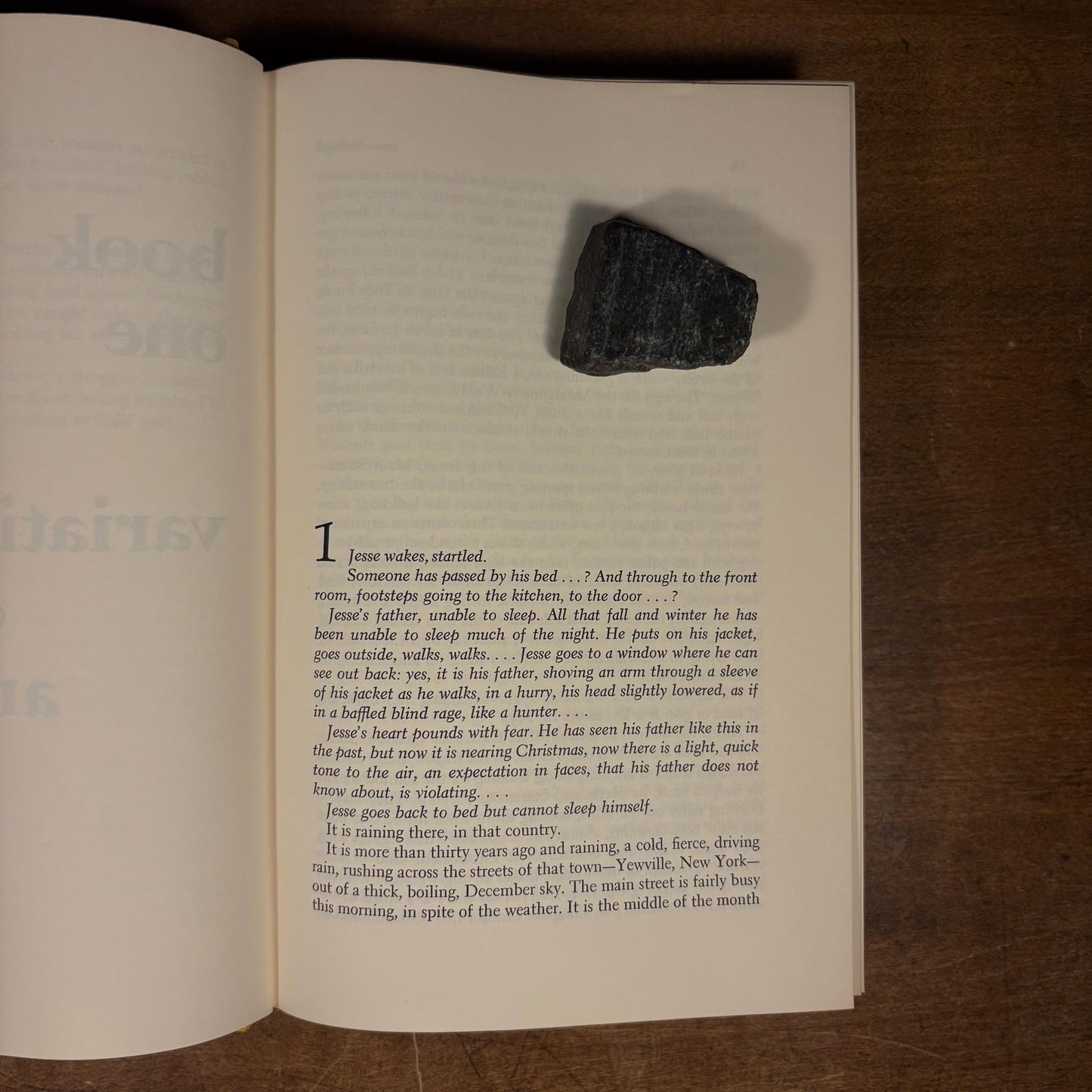 First Printing - Wonderland: A Novel / Joyce Carol Oates (1971) Vintage Hardcover Book