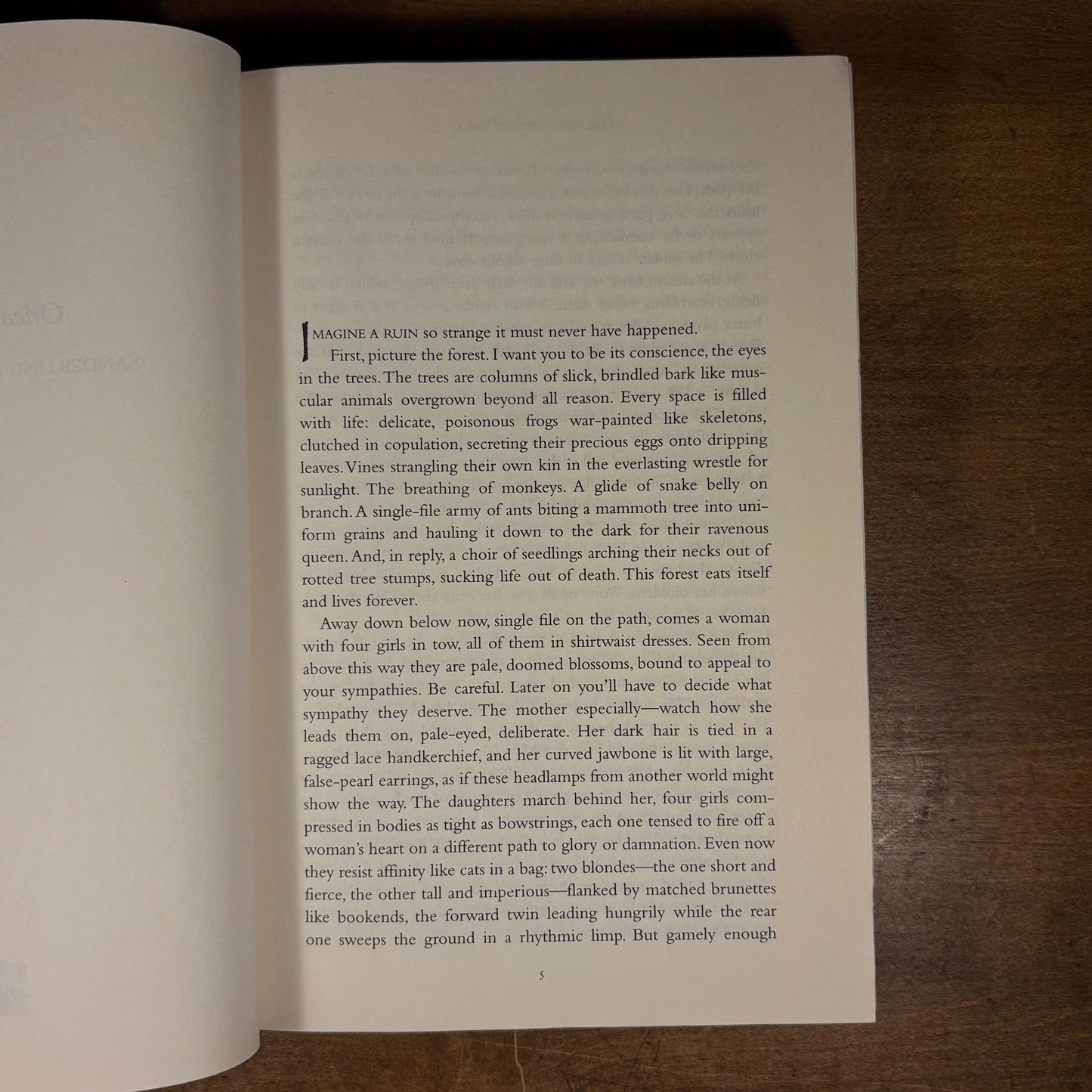 First Printing - The Poisonwood Bible: A Novel / Barbara Kingsolver (1998) Vintage Hardcover Book