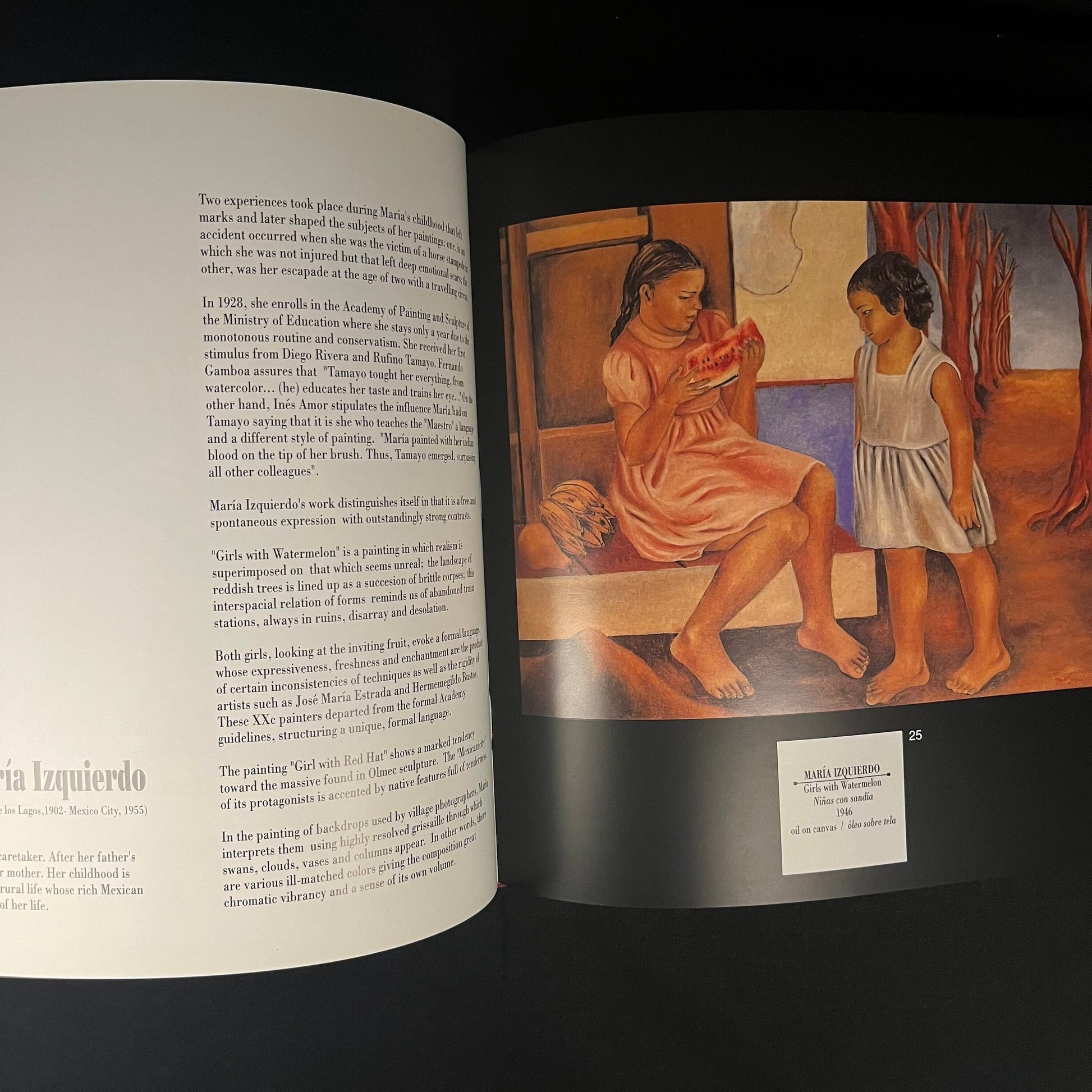 Mexico: Painter and Artisan | Mexican Cultural Institute (1995) Vintage Hardcover Exhibition Catalogue