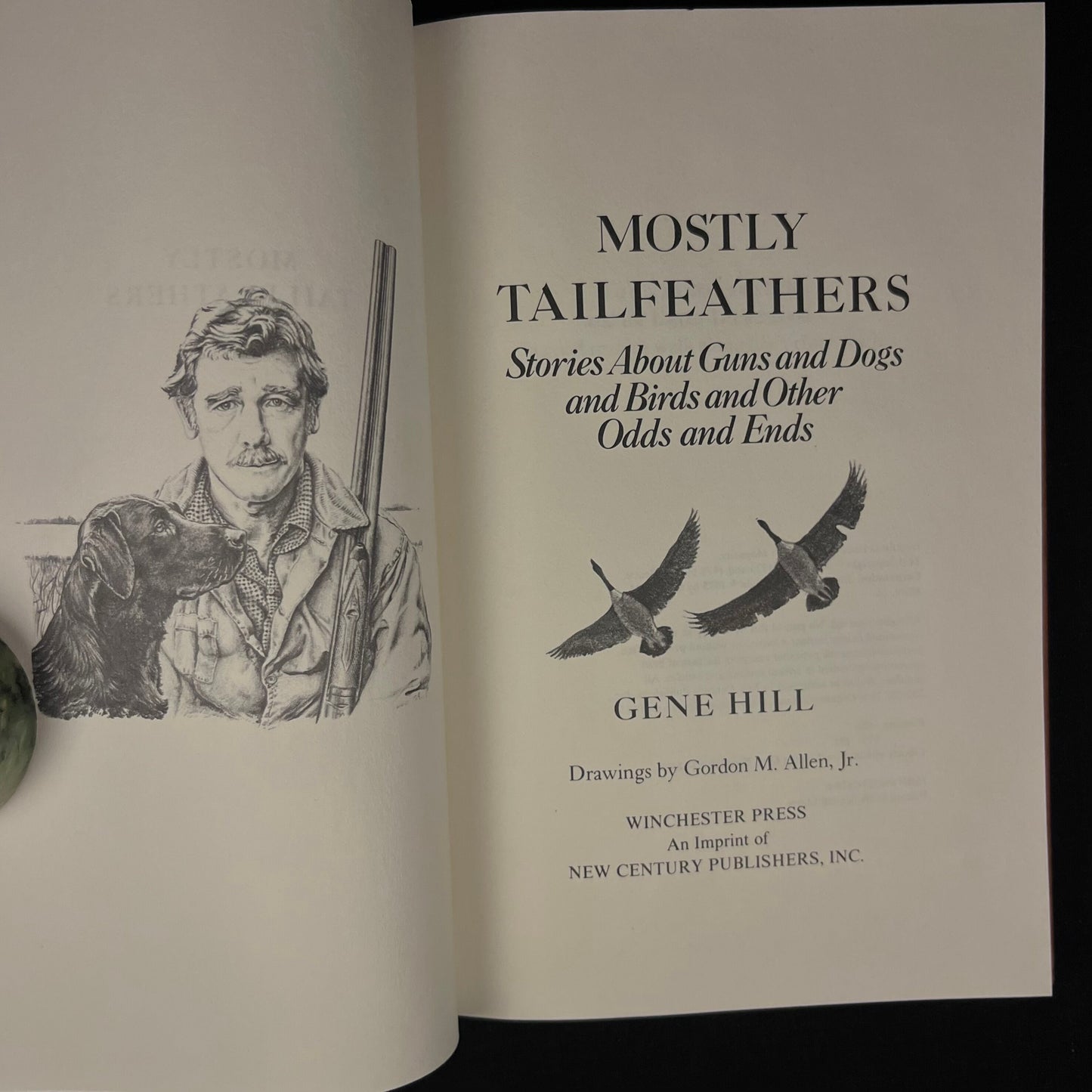 Mostly Tailfeathers: Stories About Guns and Dogs and Birds and Other Odds and Ends by Gene Hill (1982) Vintage Hardcover Book