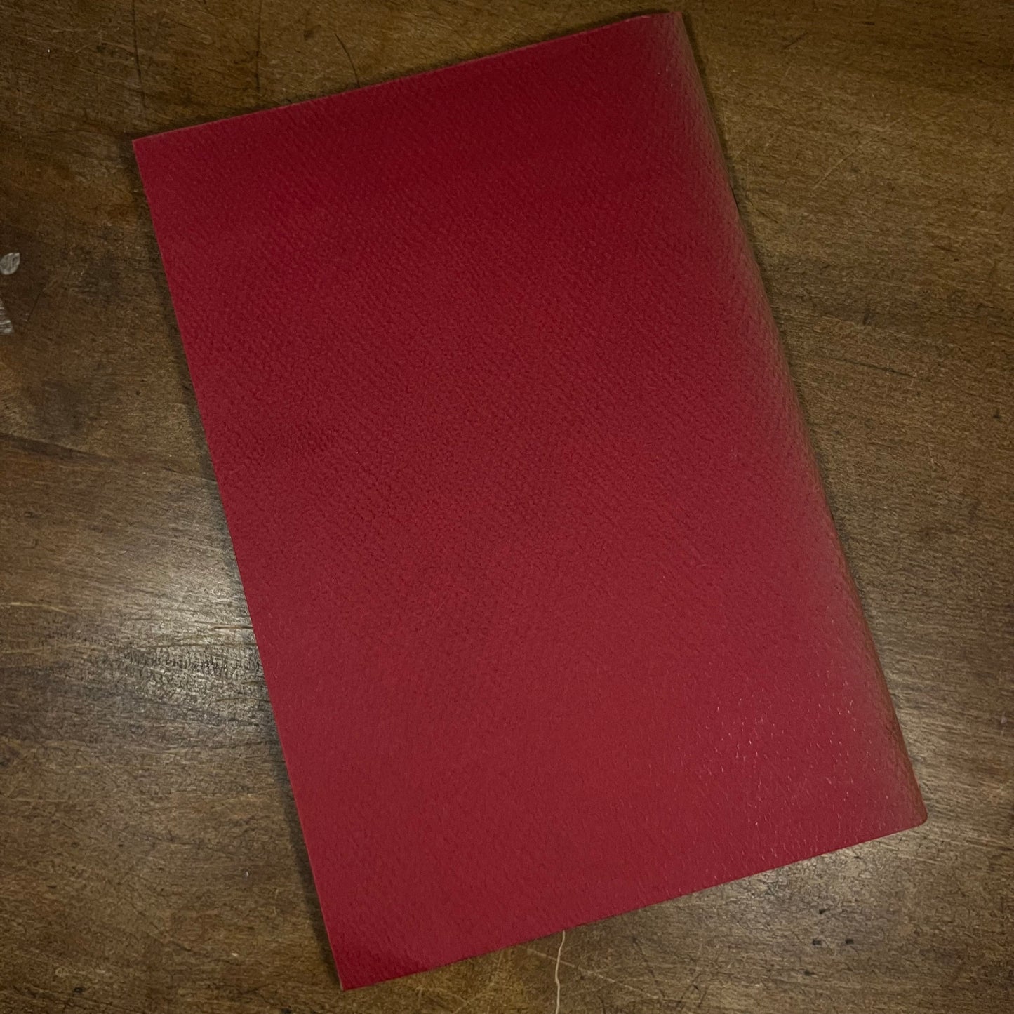 Into all the World by Mary Ely Lyman (1956) Vintage Softcover Book