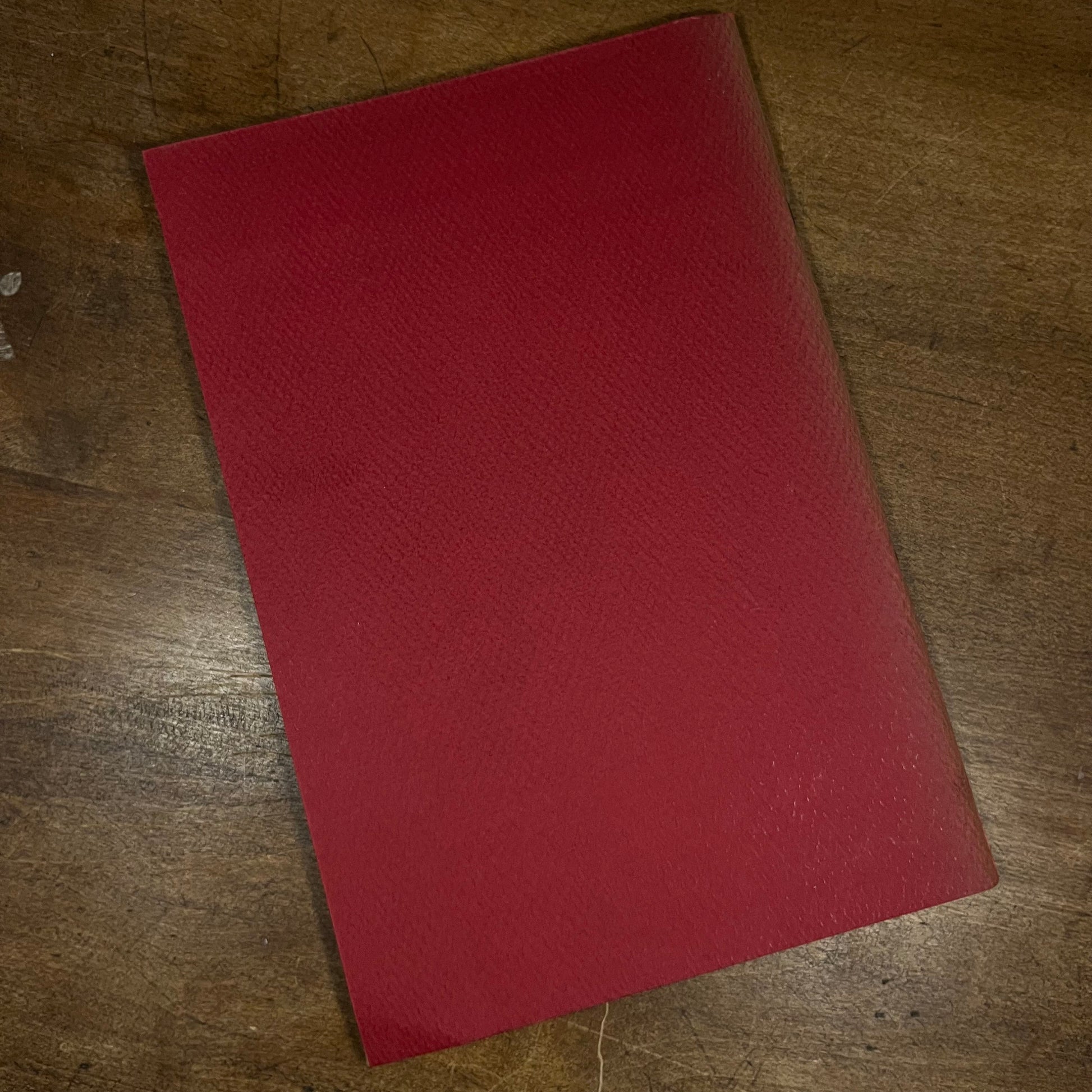 Into all the World by Mary Ely Lyman (1956) Vintage Softcover Book