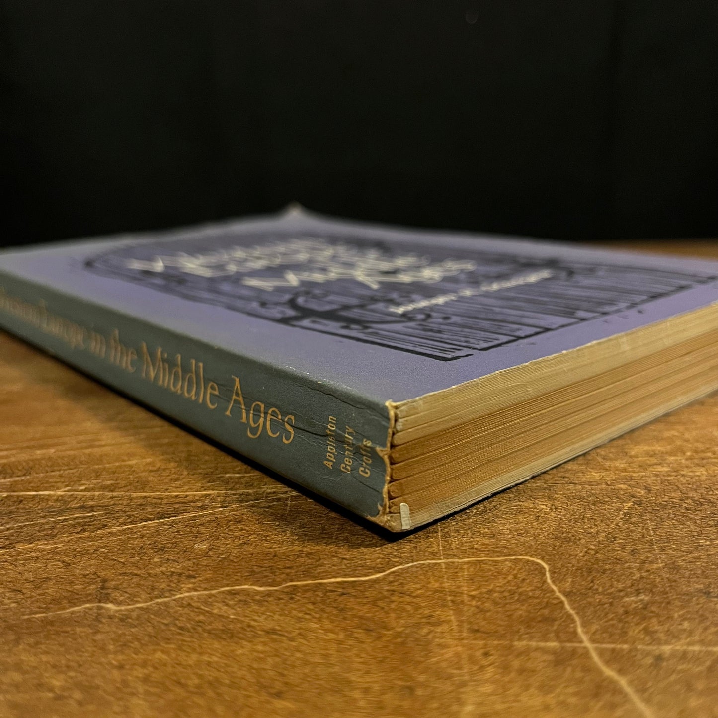 Western Europe in the Middle Ages by Joseph R. Strayer (1955) Vintage Paperback Book