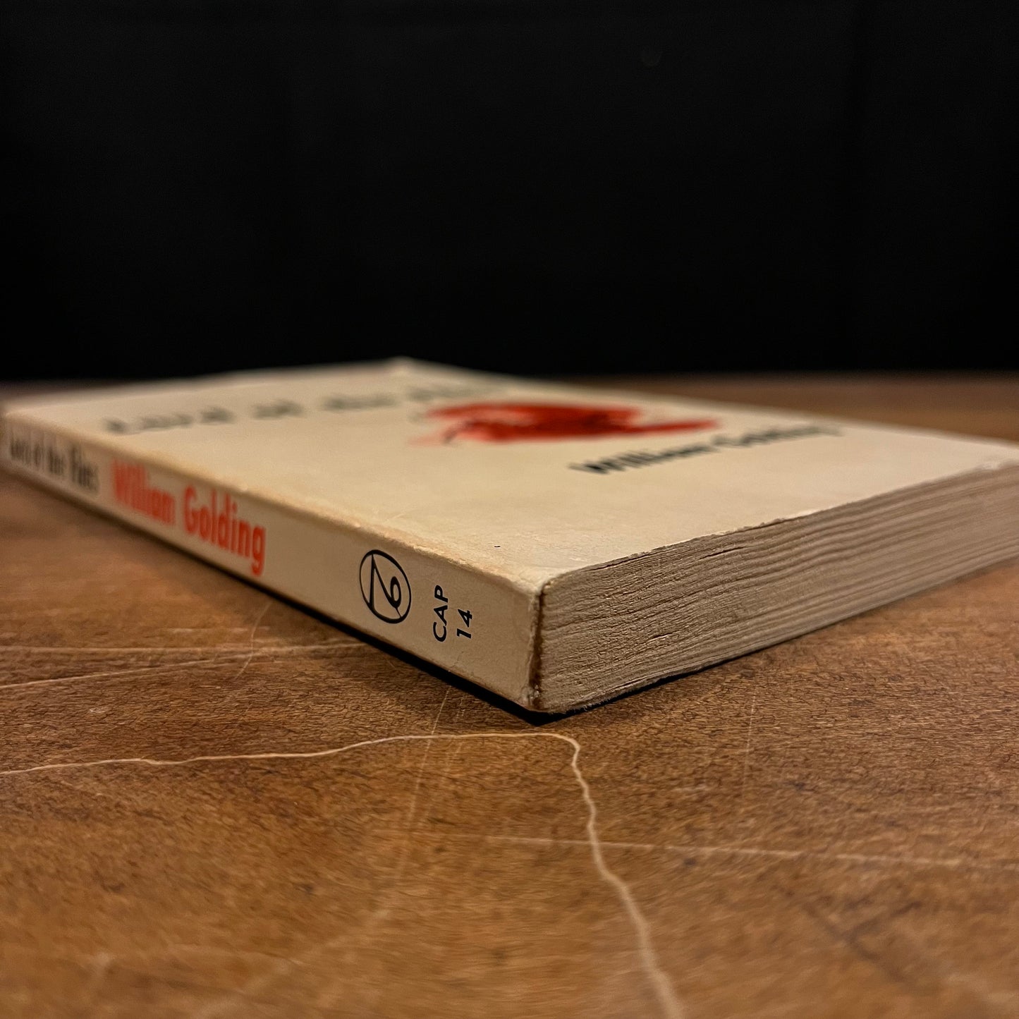 Lord of the Flies by William Golding (1959) Vintage Paperback Book