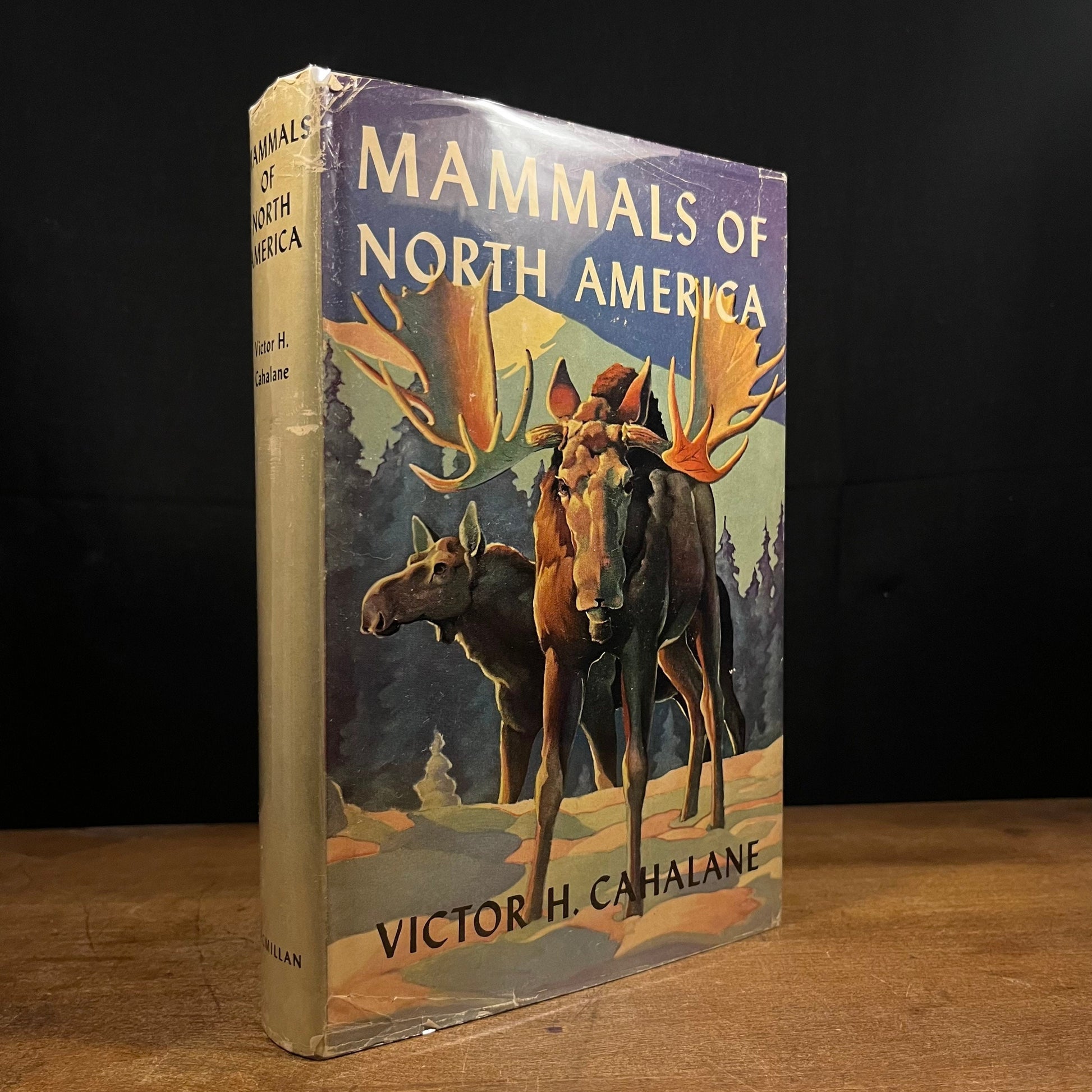 Early Printing - Mammals of North America by Victor H. Cahalane (1964) Vintage Hardcover Book