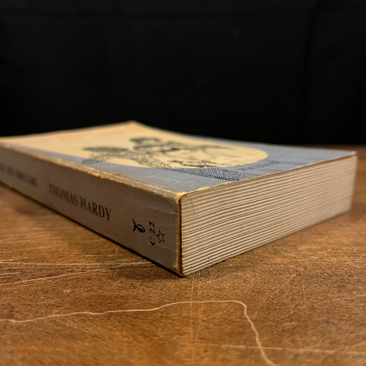 Jude The Obscure by Thomas Hardy (1960) Vintage Paperback Book