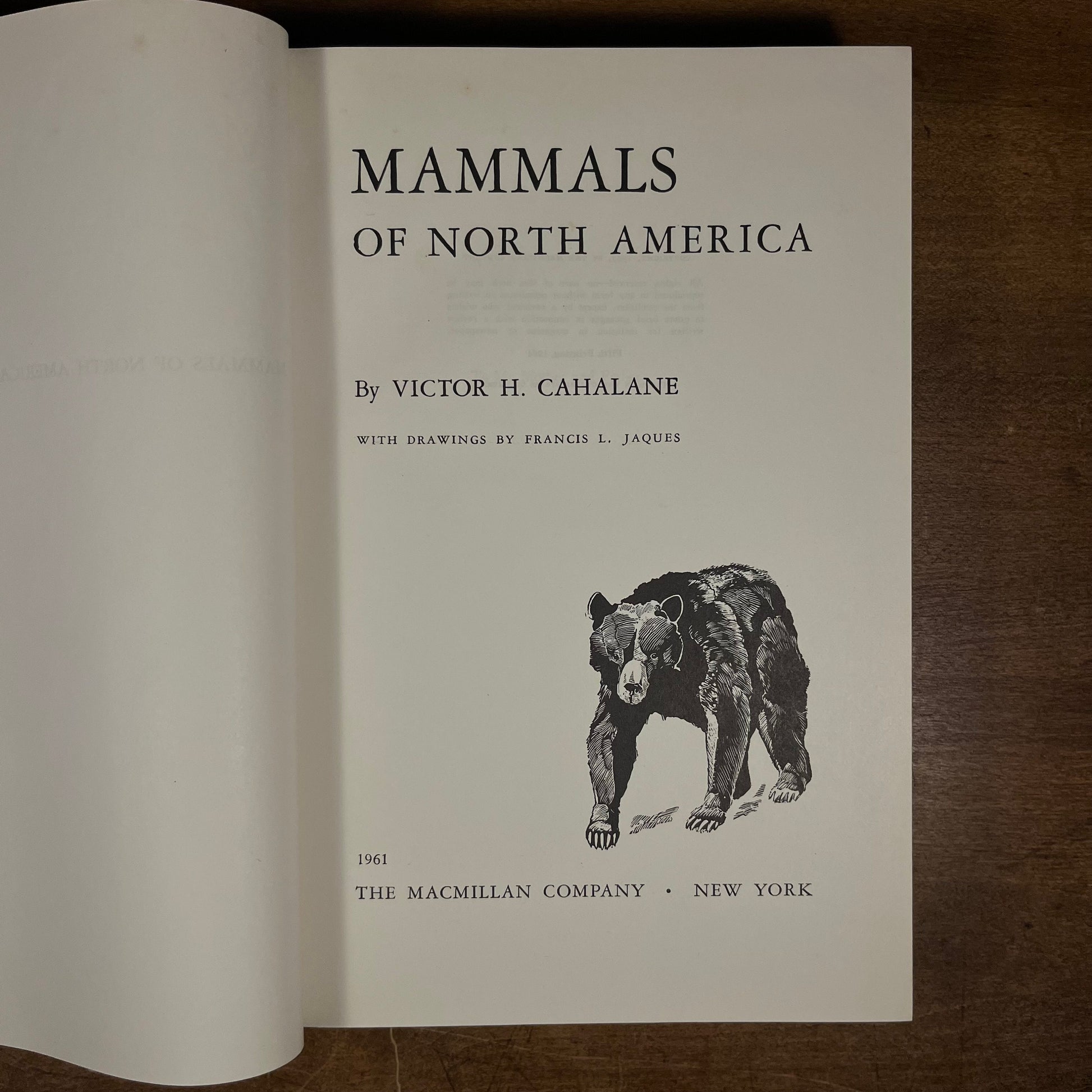 Early Printing - Mammals of North America by Victor H. Cahalane (1964) Vintage Hardcover Book