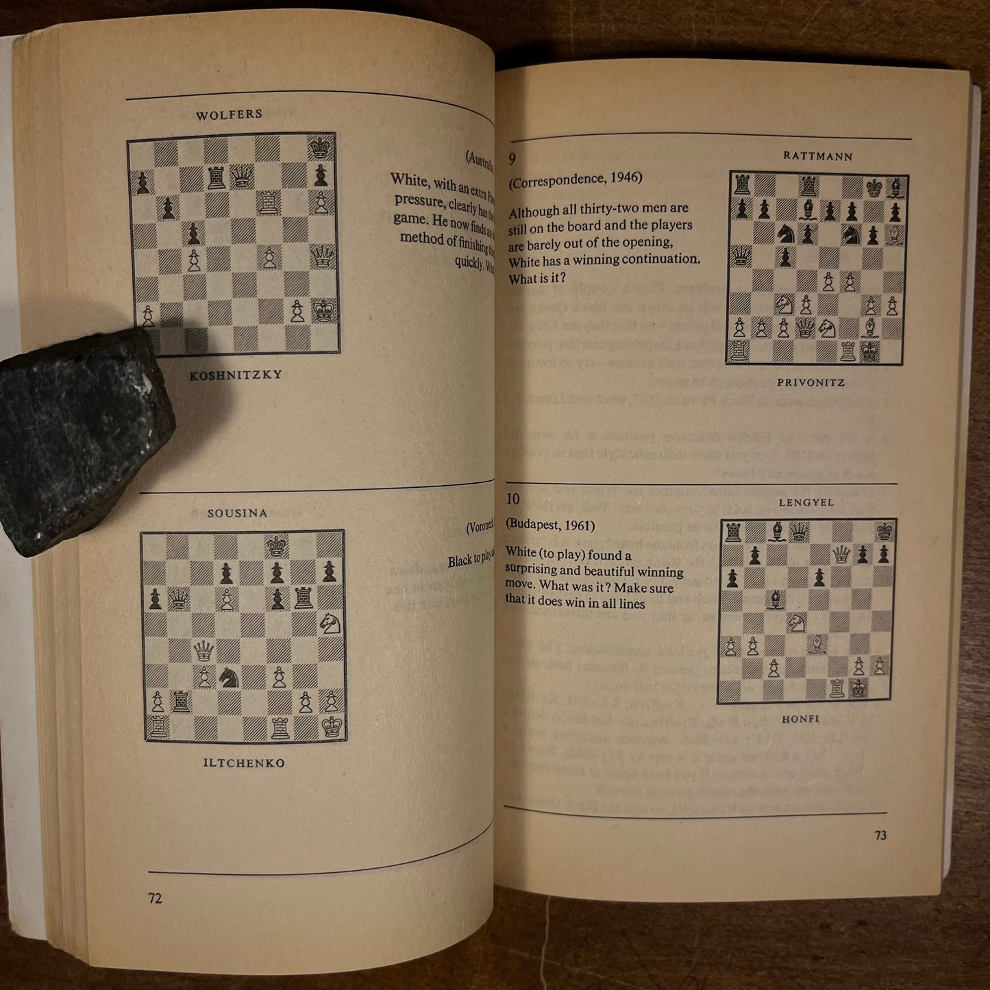 The Chess Artist (2003) and The Penguin Book of Chess Positions (1973) Vintage Book Collection