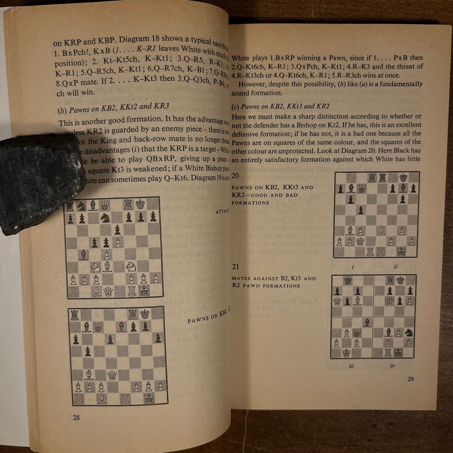 The Chess Artist (2003) and The Penguin Book of Chess Positions (1973) Vintage Book Collection