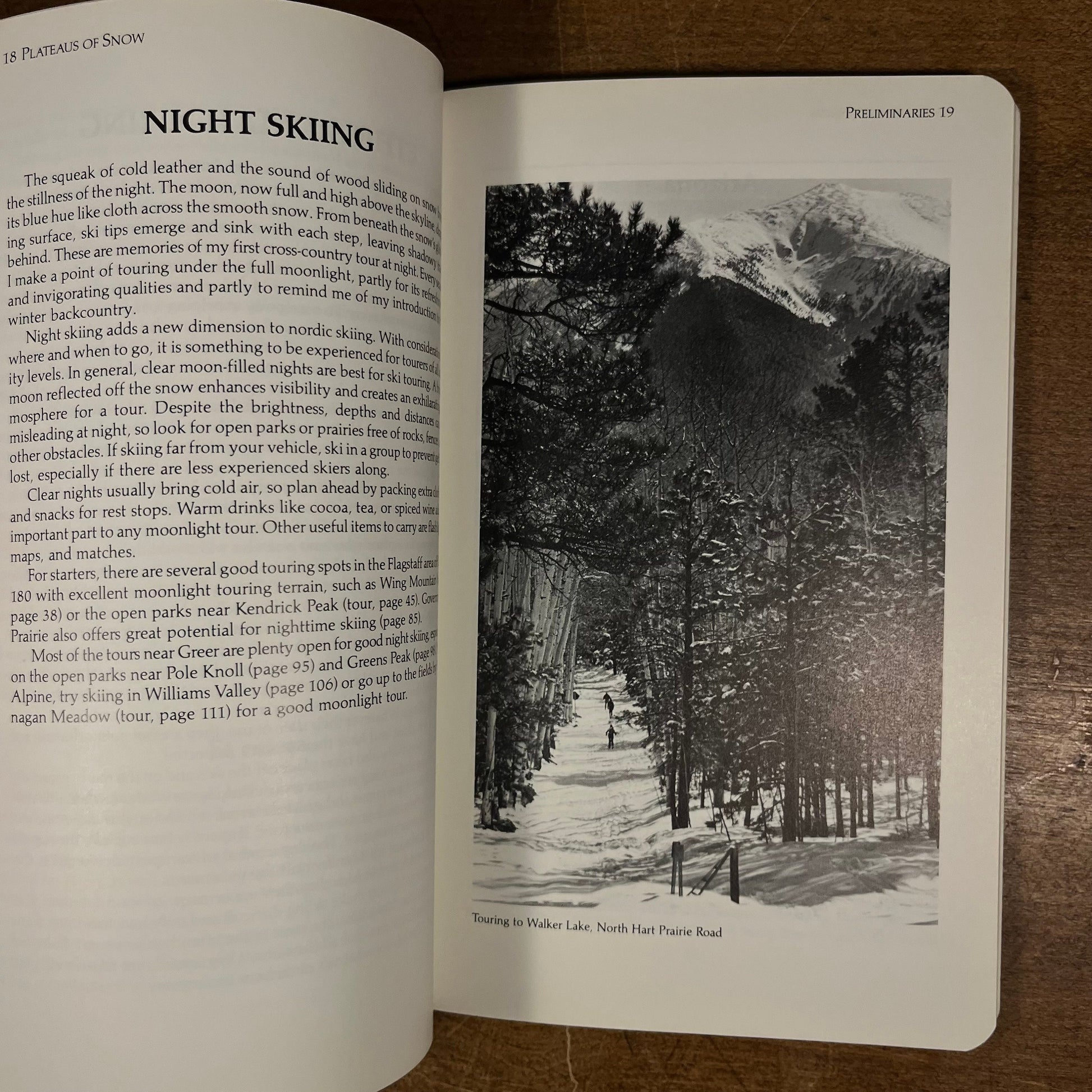 Plateaus of Snow: Ski Touring Arizona by Dugald Bremner (1987) Vintage Softcover Book