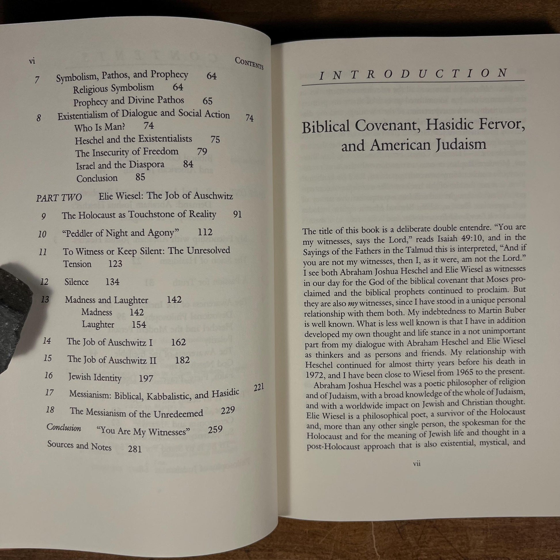 First Printing - Abraham Joshua Heschel and Elie Wiesel: You Are My Witness by Maurice Freedman (1987) Vintage Hardcover Book