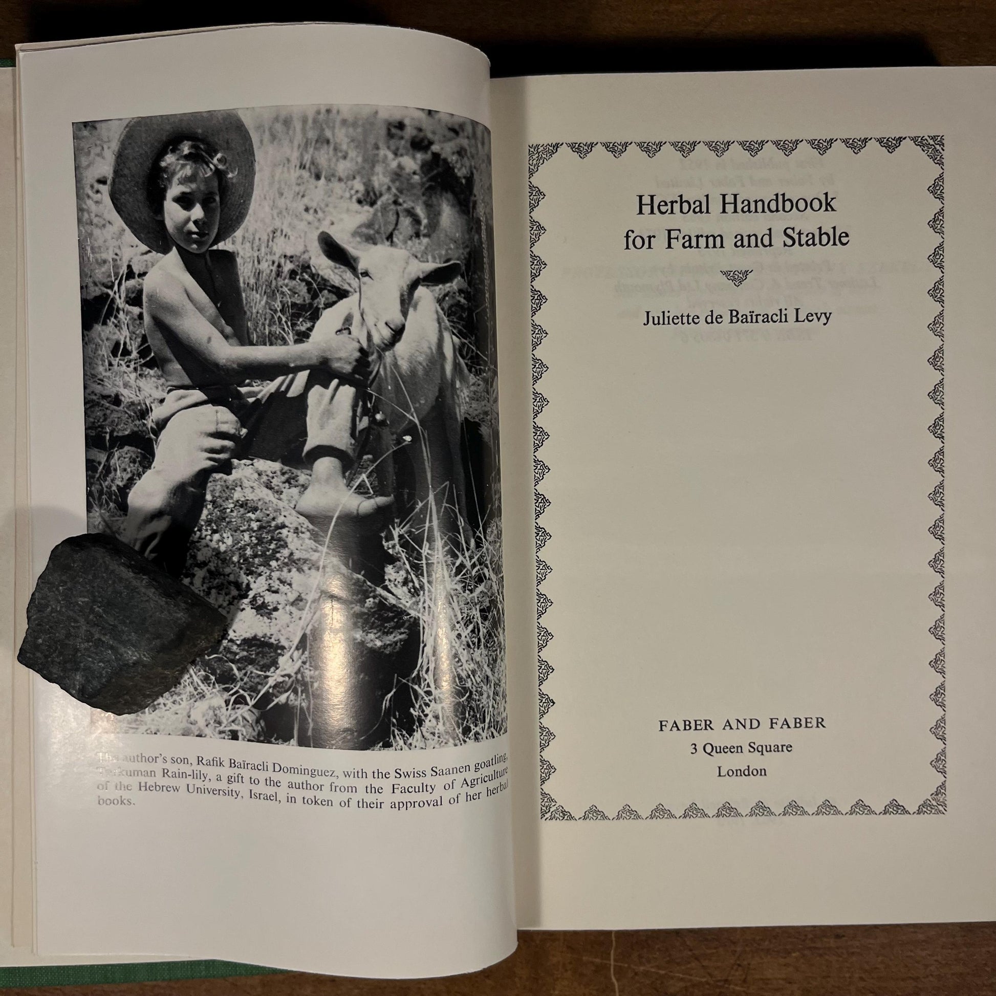 Herbal Handbook for Farm and Stable by Juliette de Baïracli Levy (1975) Vintage Hardcover Book