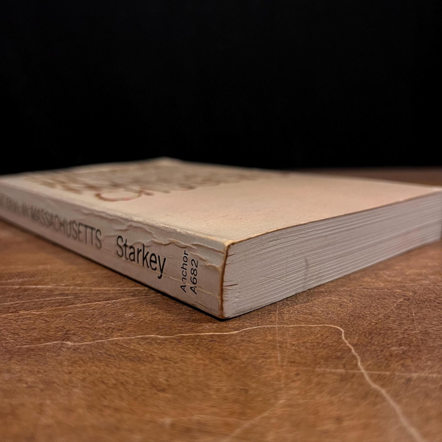 The Devil in Massachusetts: A Modern Inquiry into the Salem Witch Trials / Marion L. Starkley (1980) Vintage Paperback Book