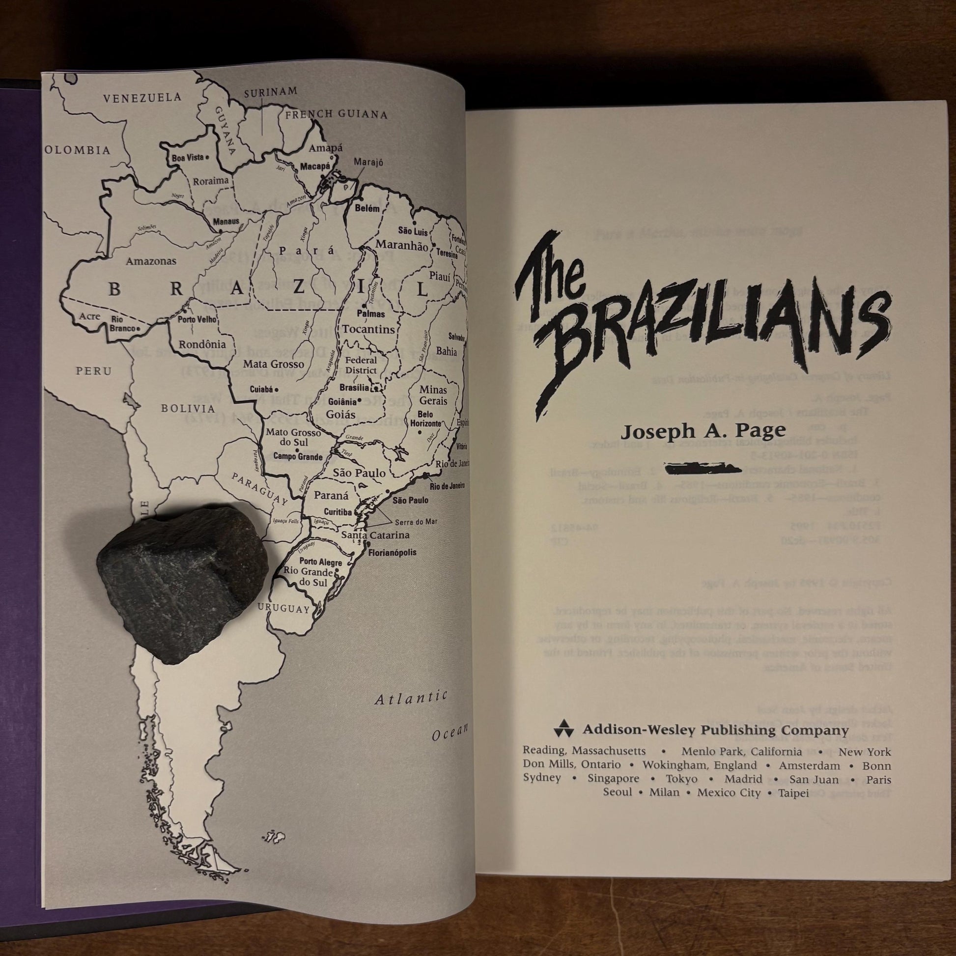 Early Printing - The Brazilians / Joseph A. Page (1995) Vintage Hardcover Book
