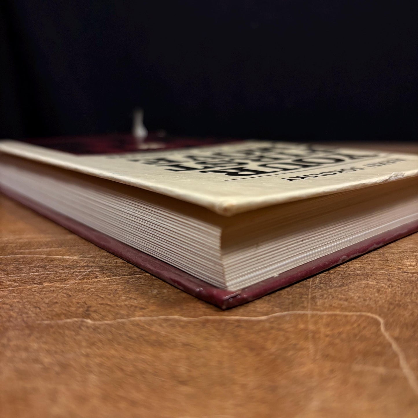 Your First Move: Chess for Beginners / Alexei Sokolsky (1984) Vintage Hardcover Book