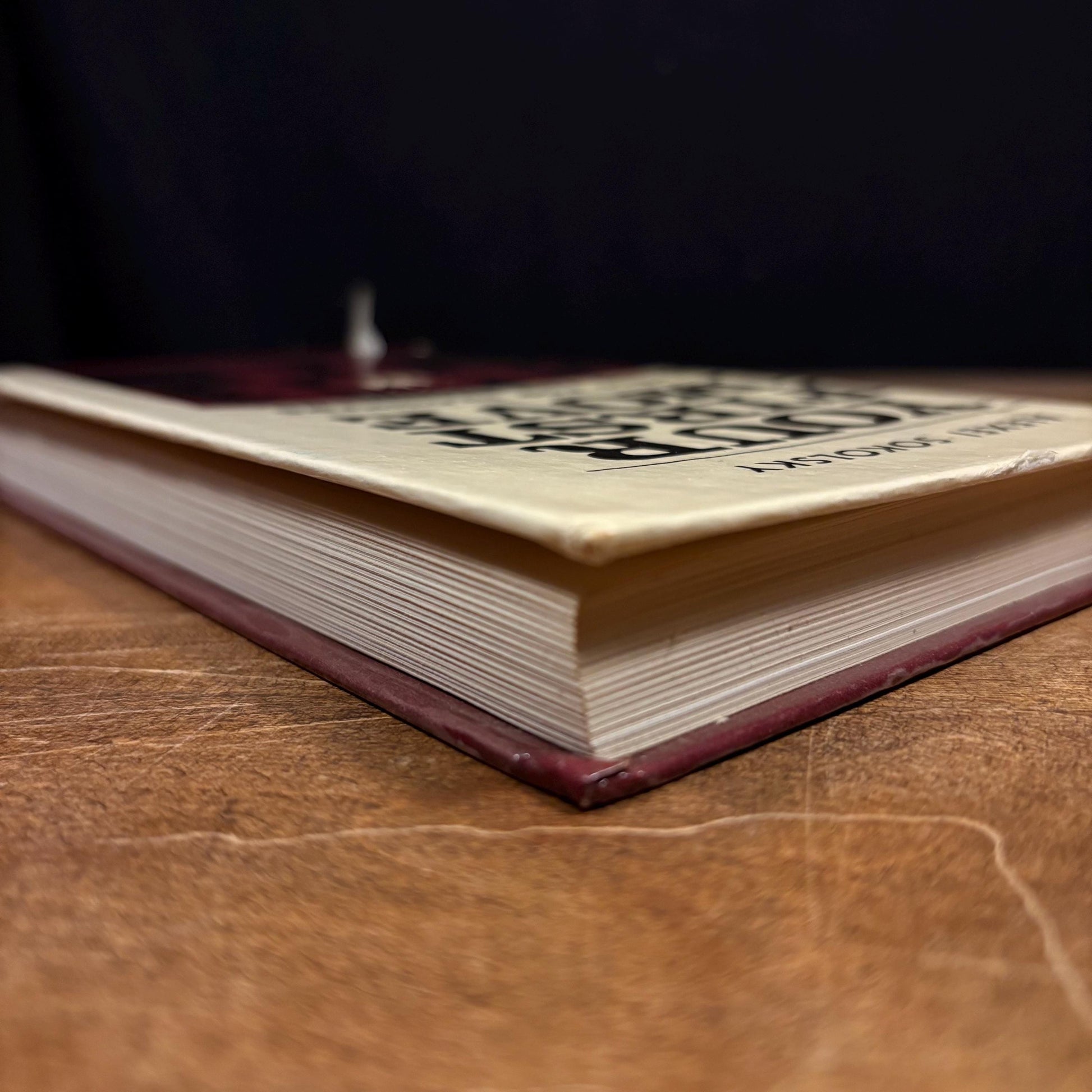 Your First Move: Chess for Beginners / Alexei Sokolsky (1984) Vintage Hardcover Book