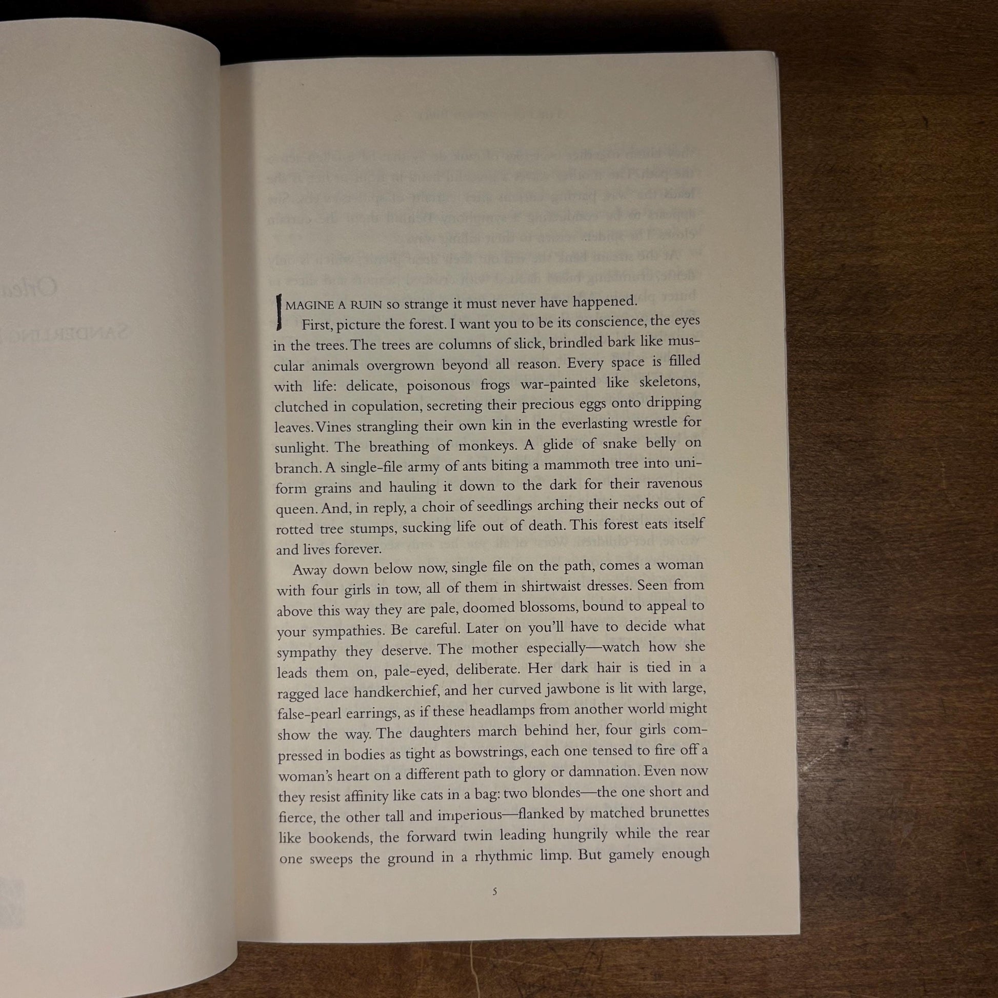 First Printing - The Poisonwood Bible: A Novel / Barbara Kingsolver (1998) Vintage Hardcover Book