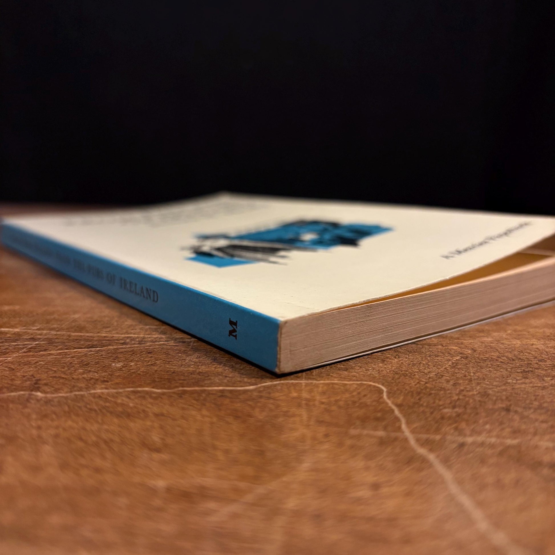 Ballads from the Pubs of Ireland / James N. Healy (1966) Vintage Paperback Book