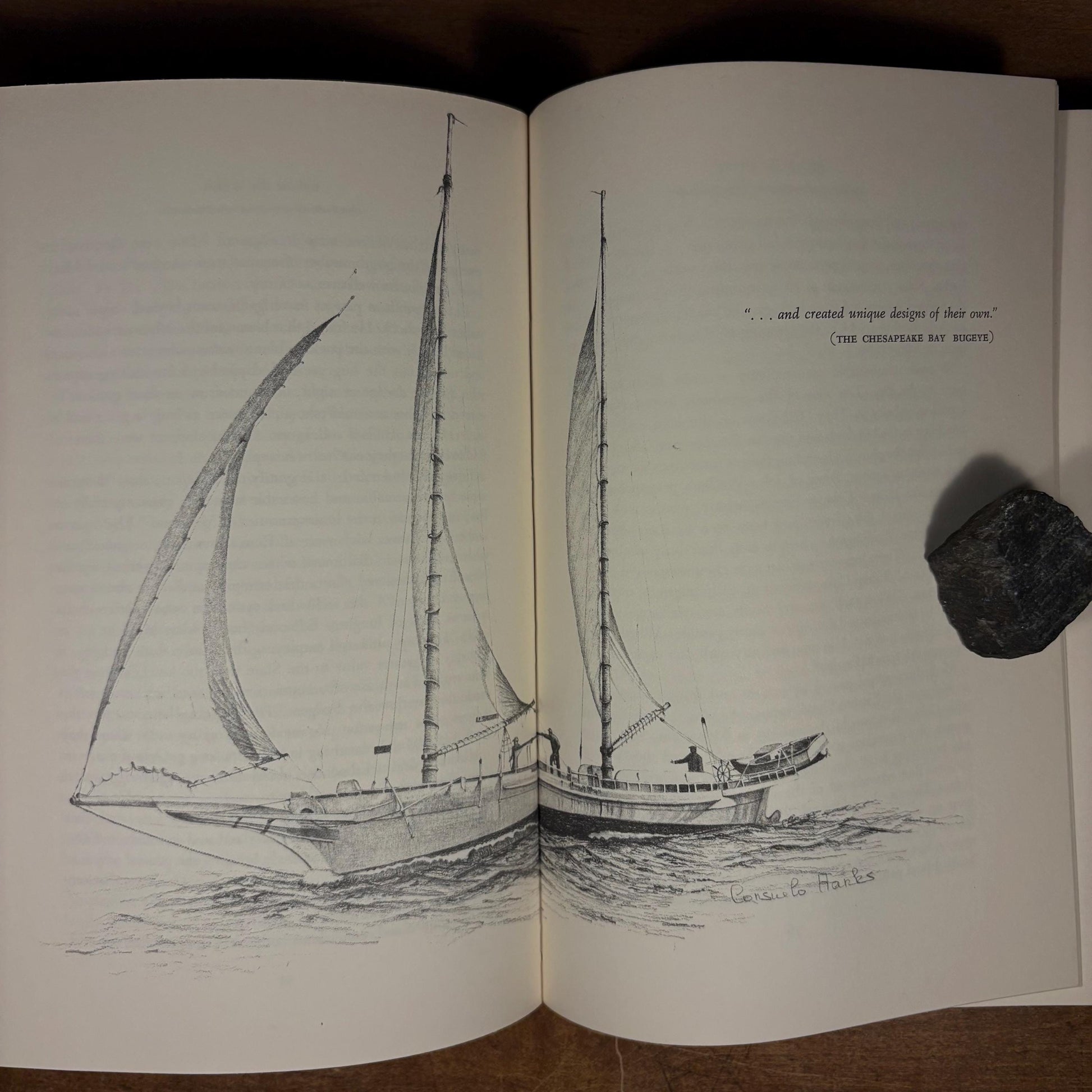 Early Printing - Beautiful Swimmers: Watermen, Crabs and the Chesapeake Bay / William W. Warner (1976) Vintage Hardcover Book