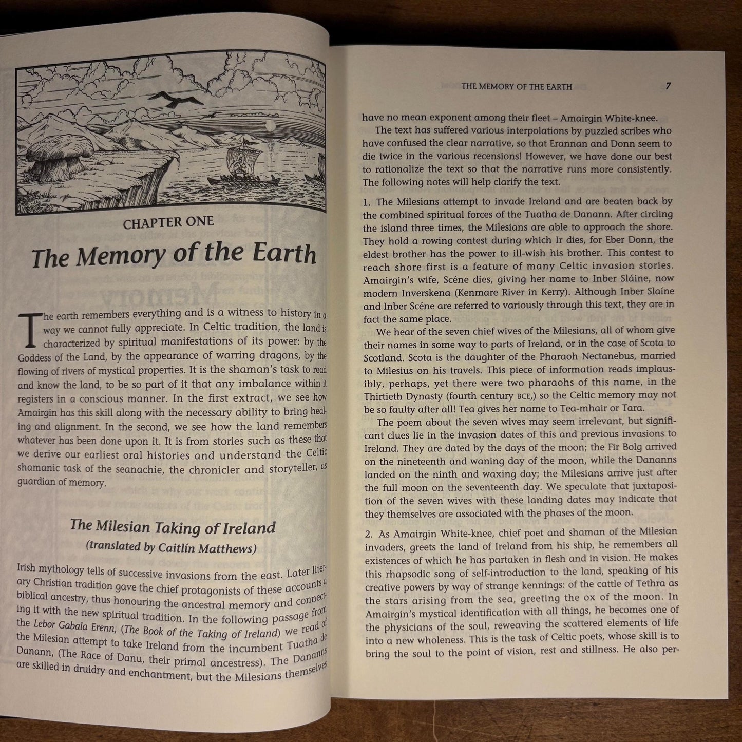 First Printing - The Encyclopedia of Celtic Wisdom: A Celtic Shaman’s Sourcebook / Caitlín and John Matthews (1994) Vintage Hardcover Book
