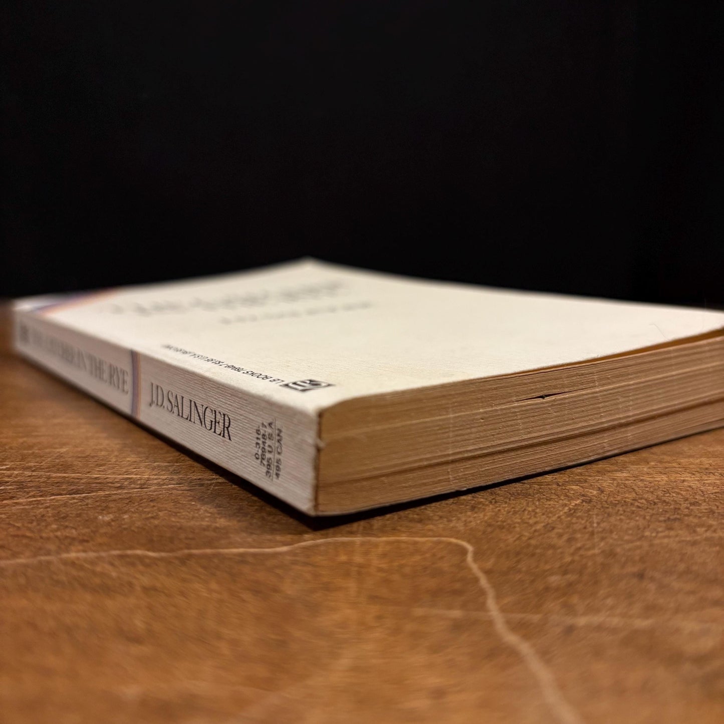 First LB Books Mass Market Paperback Printing - The Catcher in the Rye / J. D. Salinger (1991) Vintage Book