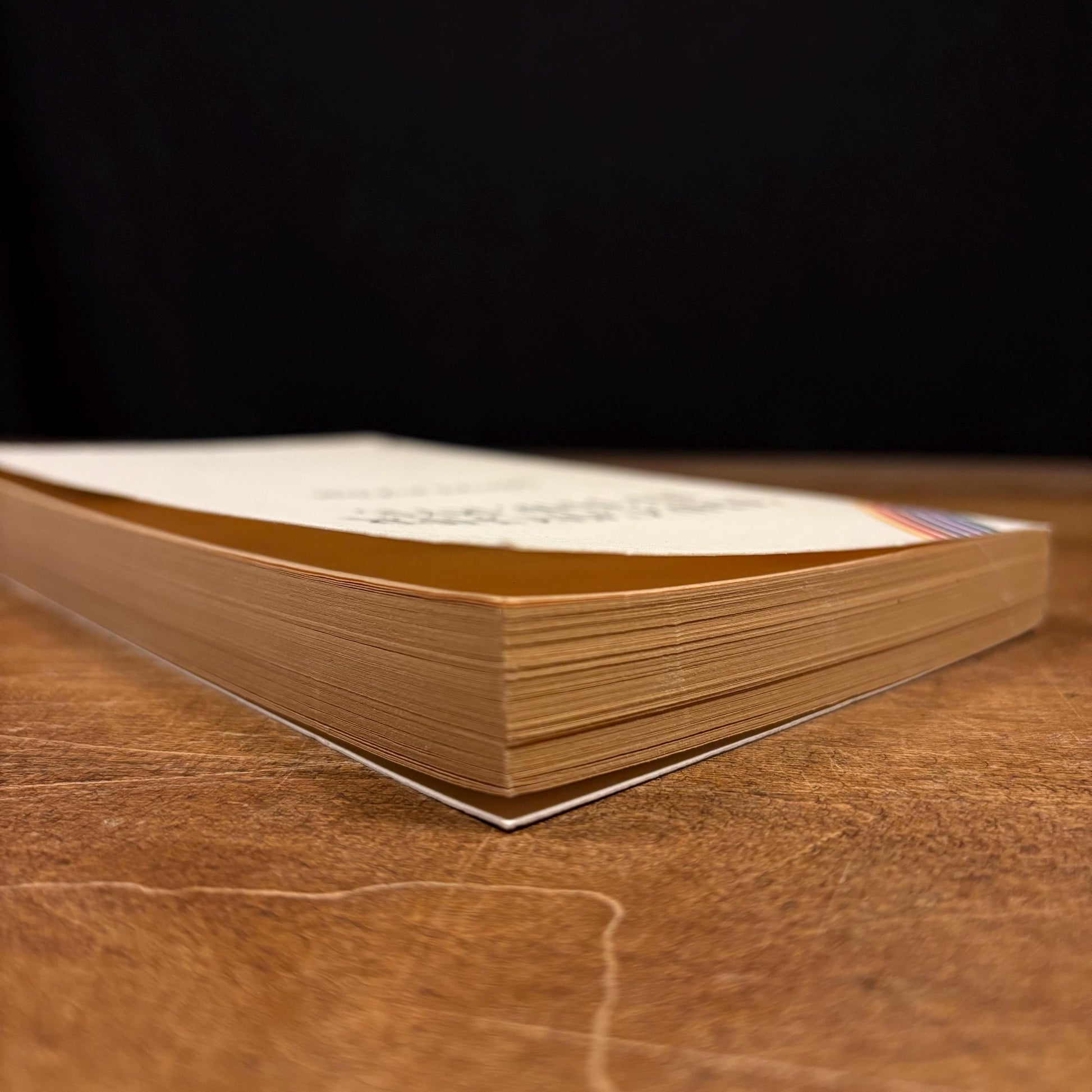 First LB Books Mass Market Paperback Printing - The Catcher in the Rye / J. D. Salinger (1991) Vintage Book