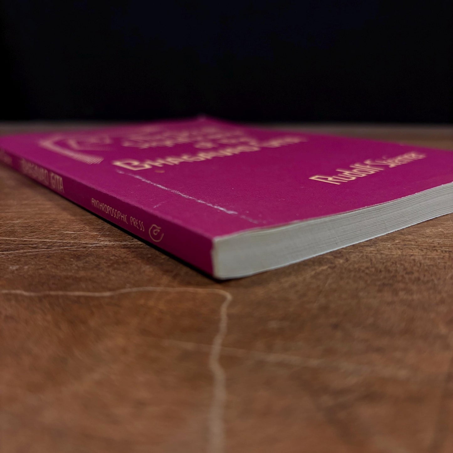 The Occult Significance of the Bhagavad Gita / Rudolf Steiner (1984) Vintage Paperback Book