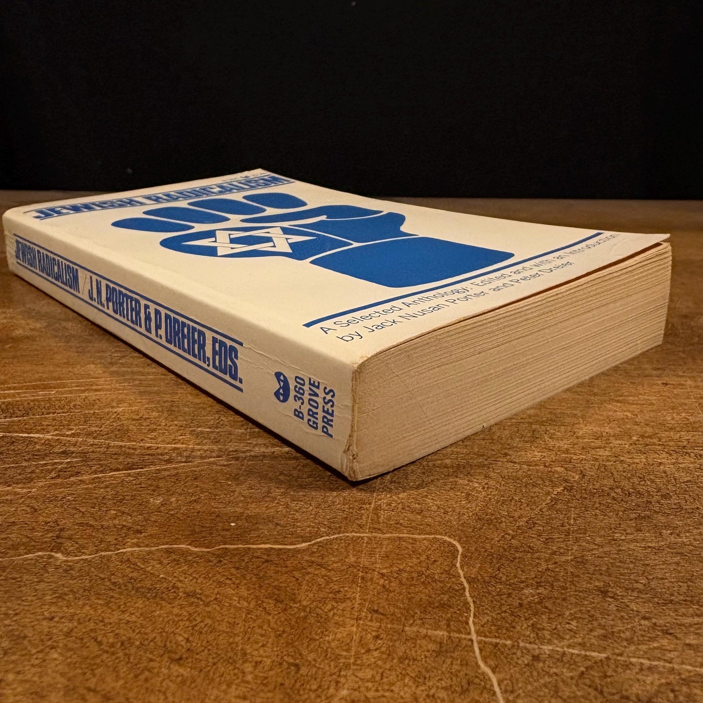 Jewish Radicalism: A Selected Anthology / Jack Nusan Porter and Peter Drier (1973) Vintage Paperback Book