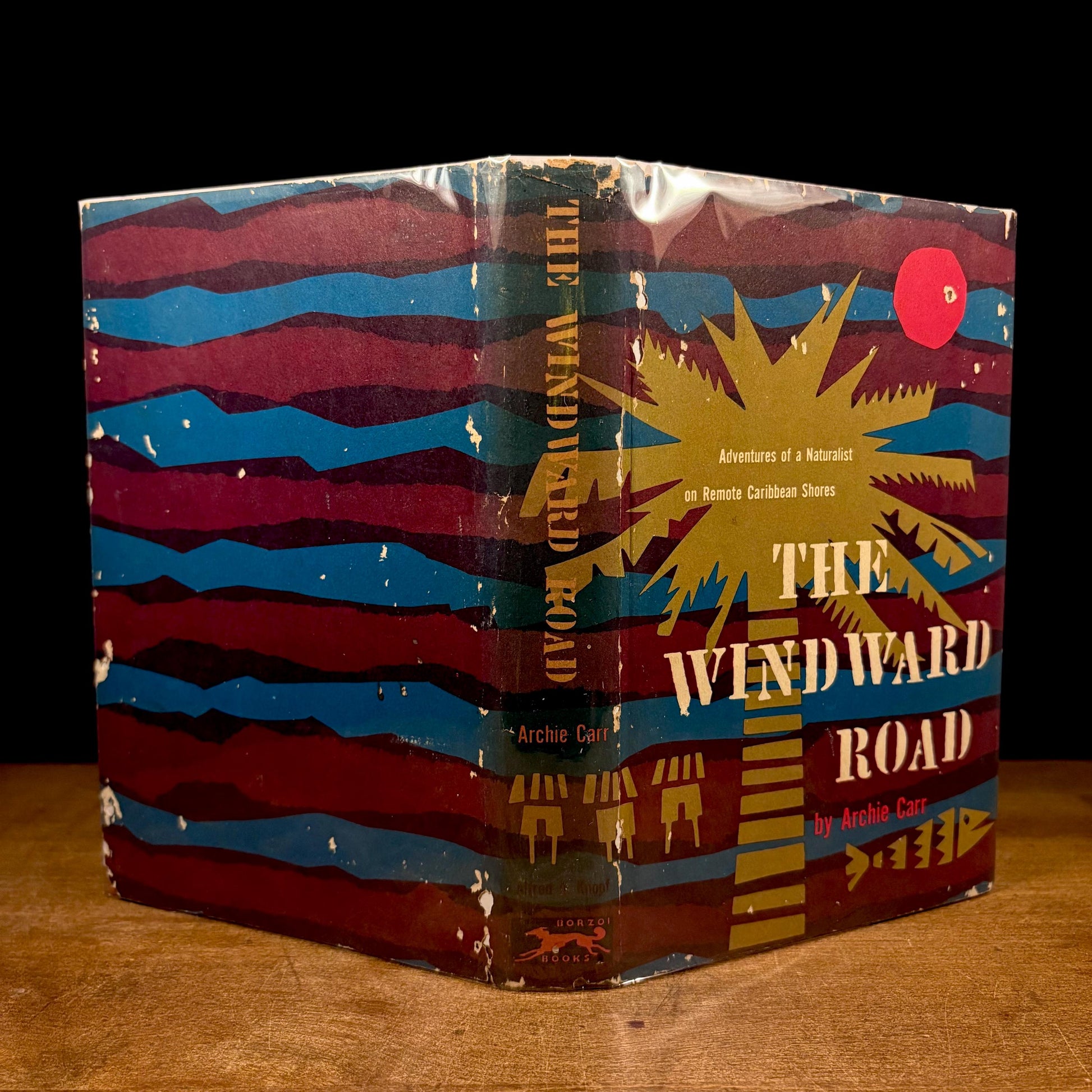 The Windward Road: Adventures of a Naturalist on Remote Caribbean Shores / Archie Carr (1956) Vintage Hardcover Book
