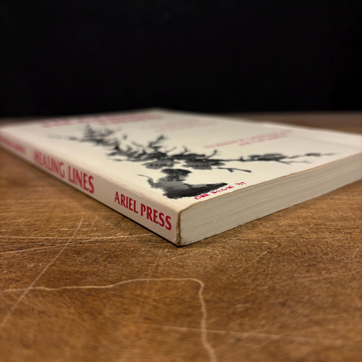 Healing Lines: A New Interpretation of the I Ching for Healing Inquiries / R. R. Leichtman and C. Japiske (1989) Vintage Paperback Book