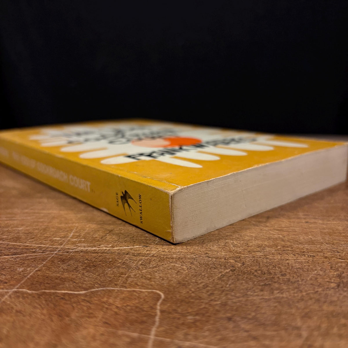 The Yogi of Cockroach Court / Frank Waters (1972) Vintage Paperback Book