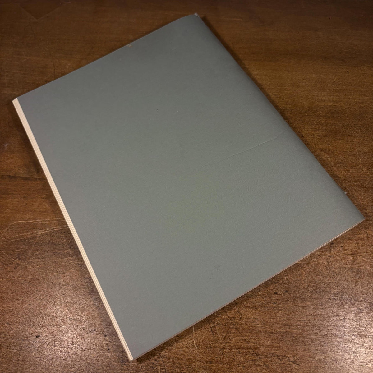 ESP in the Modern World / Milan Ryzl (1972) Vintage Softcover Book