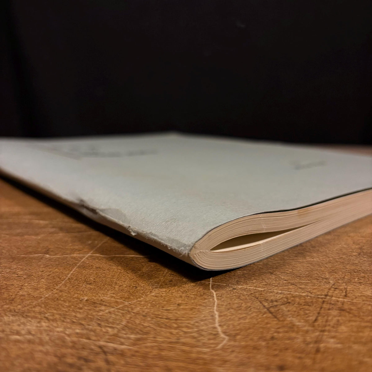ESP in the Modern World / Milan Ryzl (1972) Vintage Softcover Book