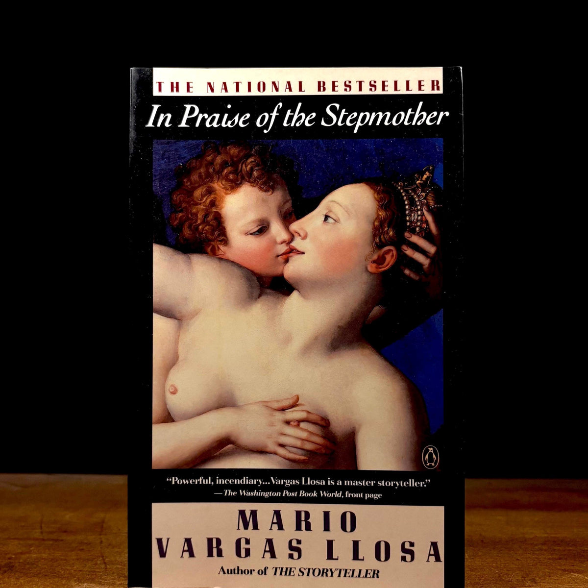 In Praise of Stepmother / Mario Vargas Llosa (1991) Vintage Paperback Book