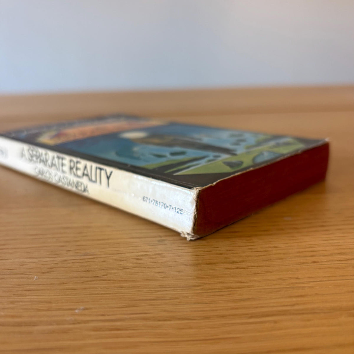 A Separate Reality: Further Conversations with Don Juan / Carlos Castaneda (1973) Vintage Paperback Book