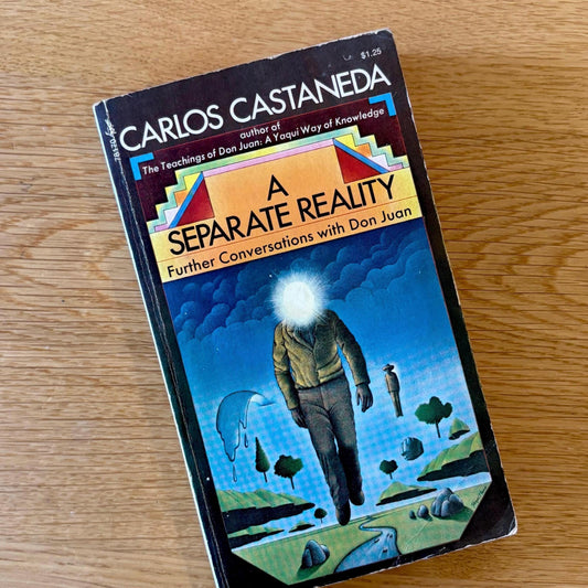A Separate Reality: Further Conversations with Don Juan / Carlos Castaneda (1973) Vintage Paperback Book