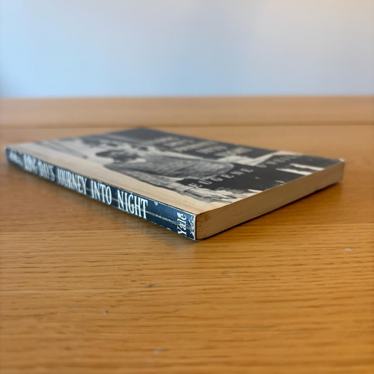 Long Day’s Journey into Night / Eugene O’Neill (1966) Vintage Paperback Book