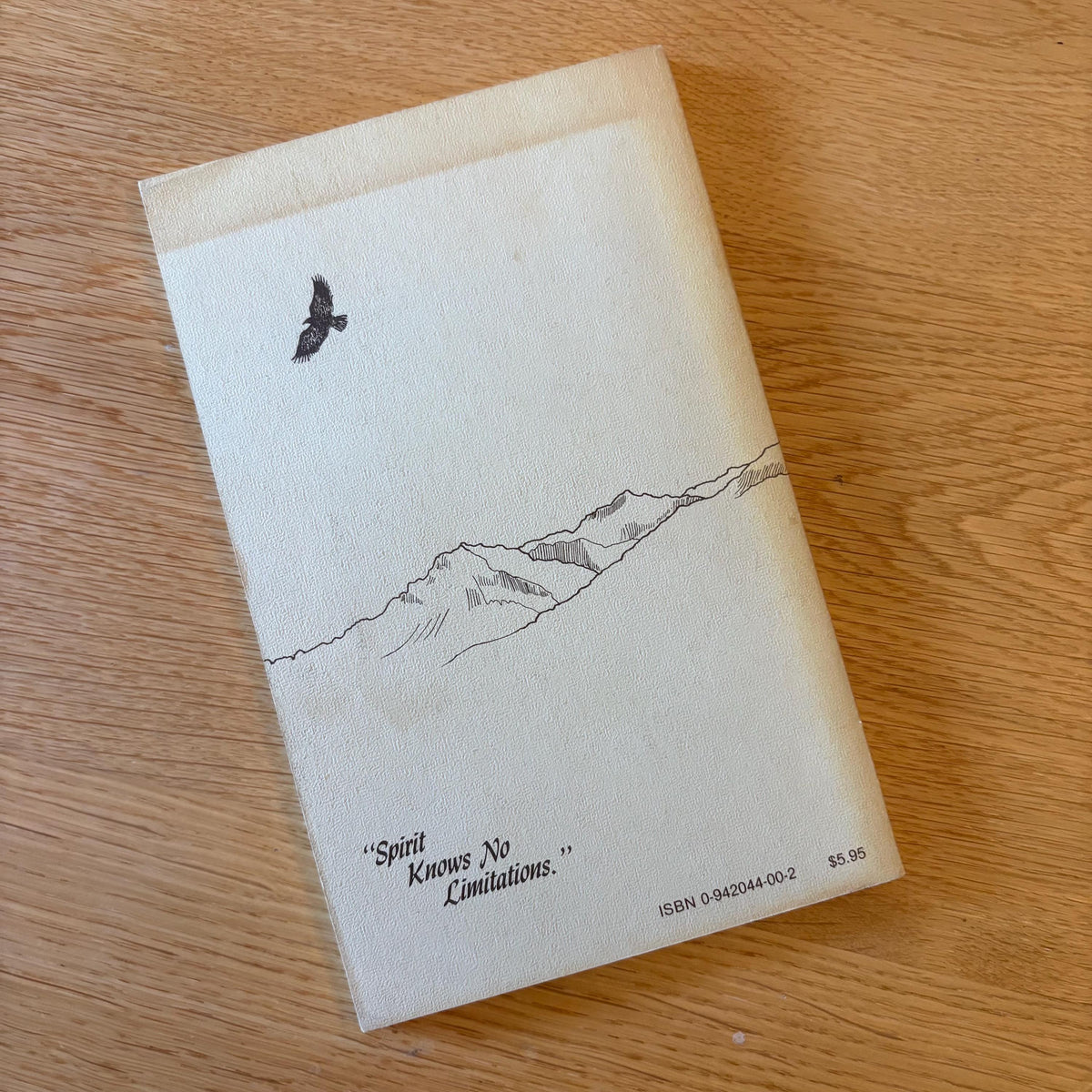 How to Defend Yourself Without Even Trying / Terry Chitwood (1982) Vintage Paperback Book