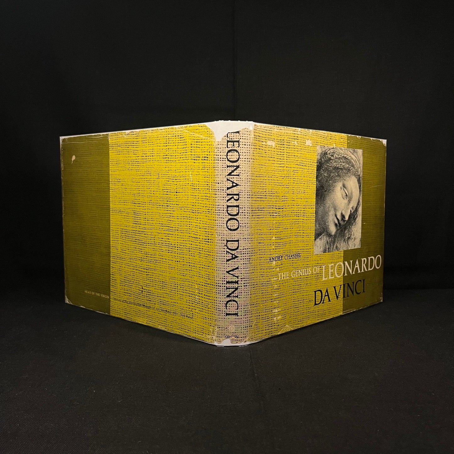 First Printing - The Genius of Leonardo da Vinci: Leonardo da Vinci on Art and the Artist Edited by A. Chastel (1961) Vintage Hardcover Book