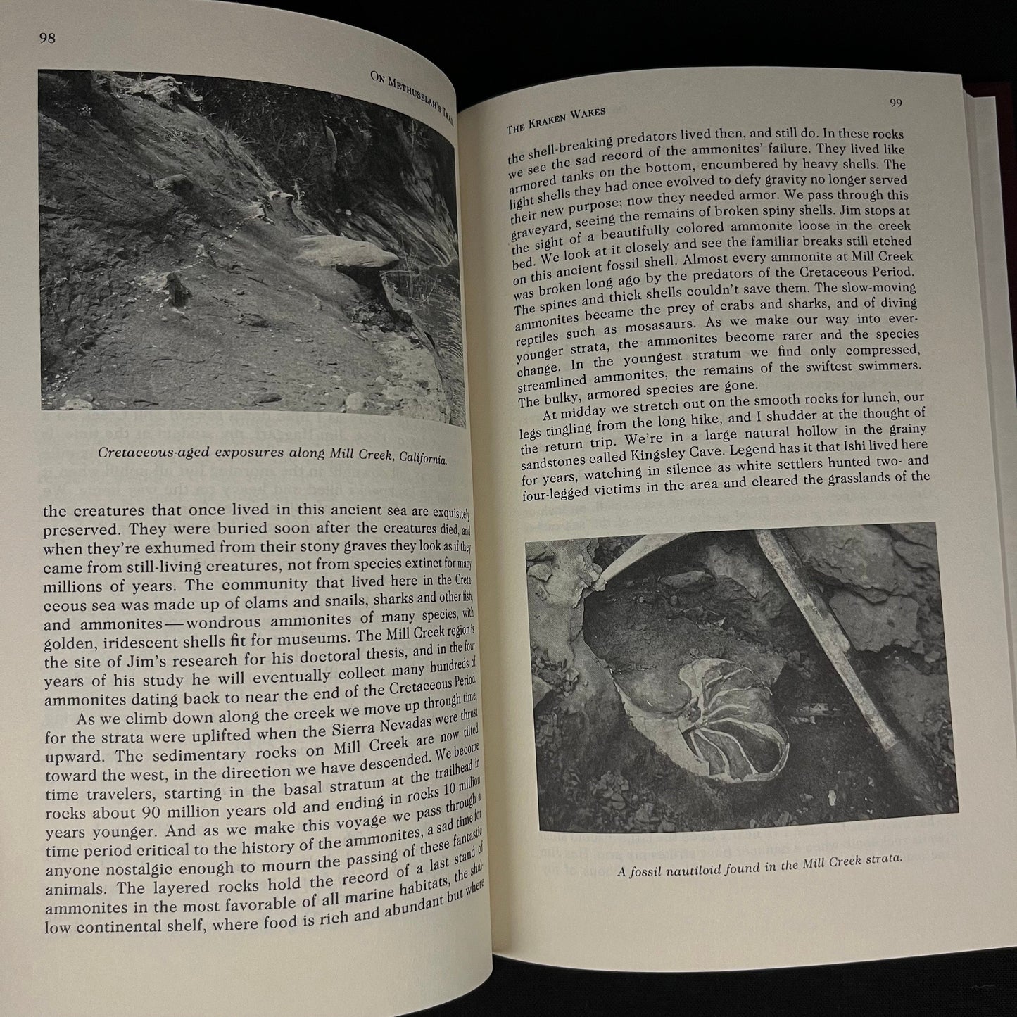 First Printing - On Methuselah’s Trail: Living Fossils and the Great Extinction by Peter Douglas Ward (1992) Vintage Hardcover Book