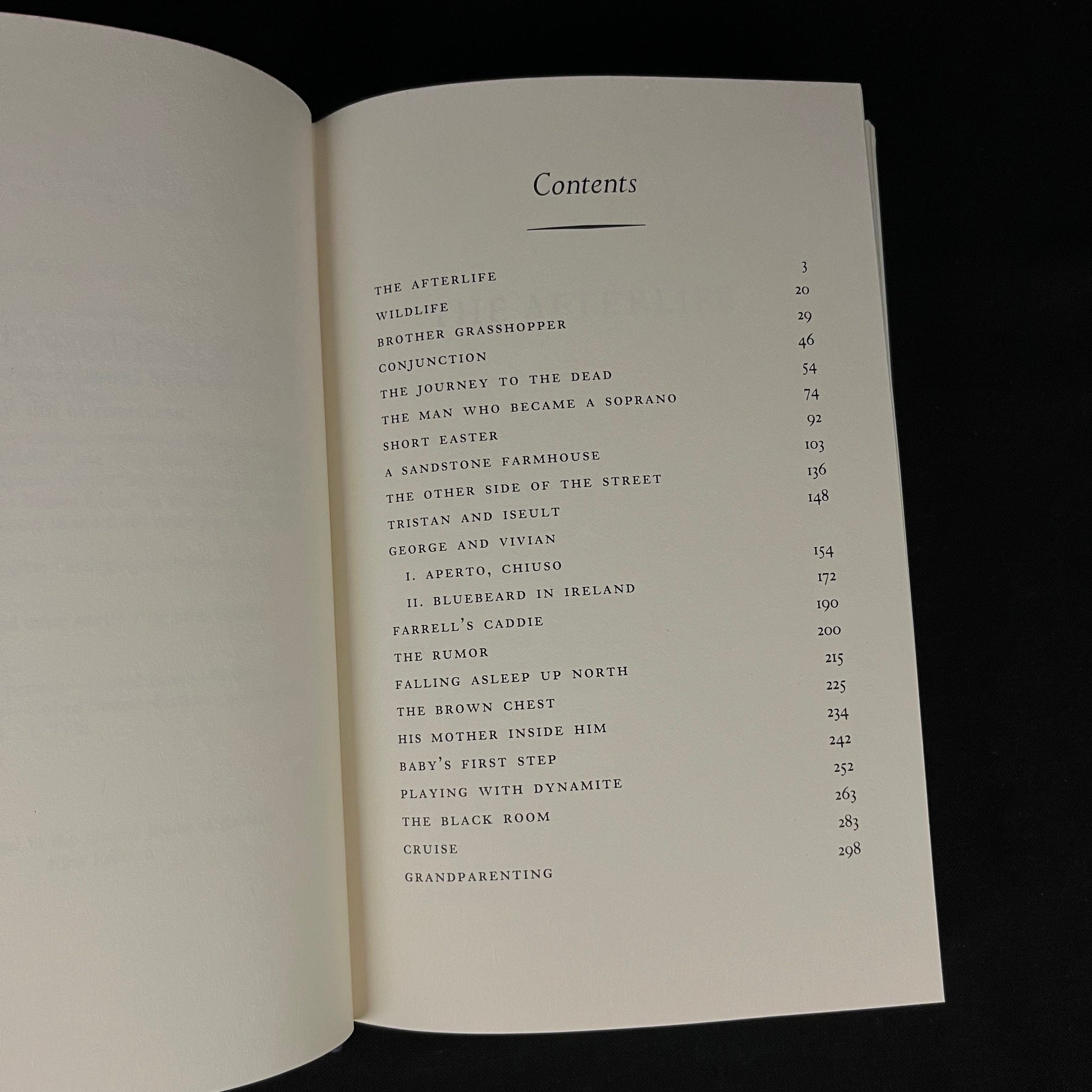 First Printing - The Afterlife and Other Stories by John Updike (1994) Vintage Hardcover Book