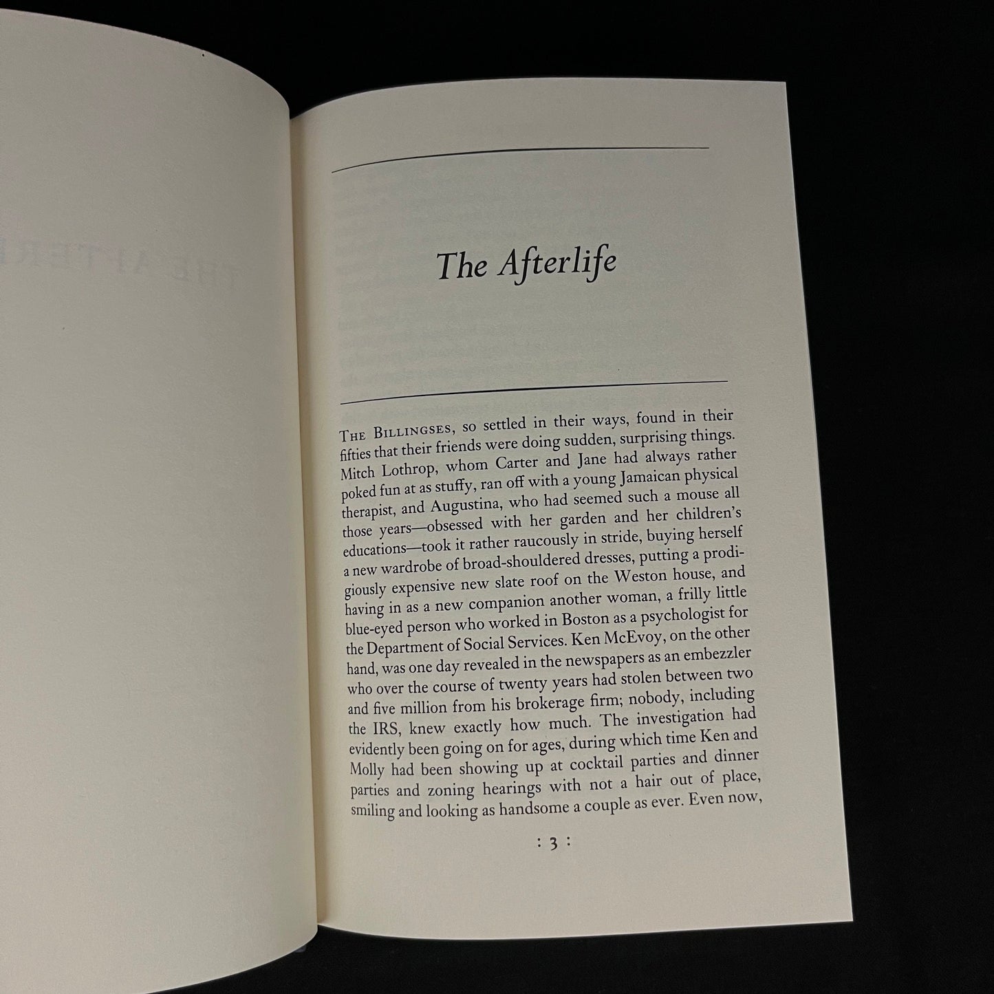First Printing - The Afterlife and Other Stories by John Updike (1994) Vintage Hardcover Book