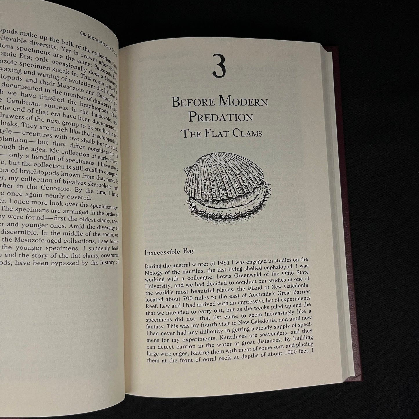 First Printing - On Methuselah’s Trail: Living Fossils and the Great Extinction by Peter Douglas Ward (1992) Vintage Hardcover Book