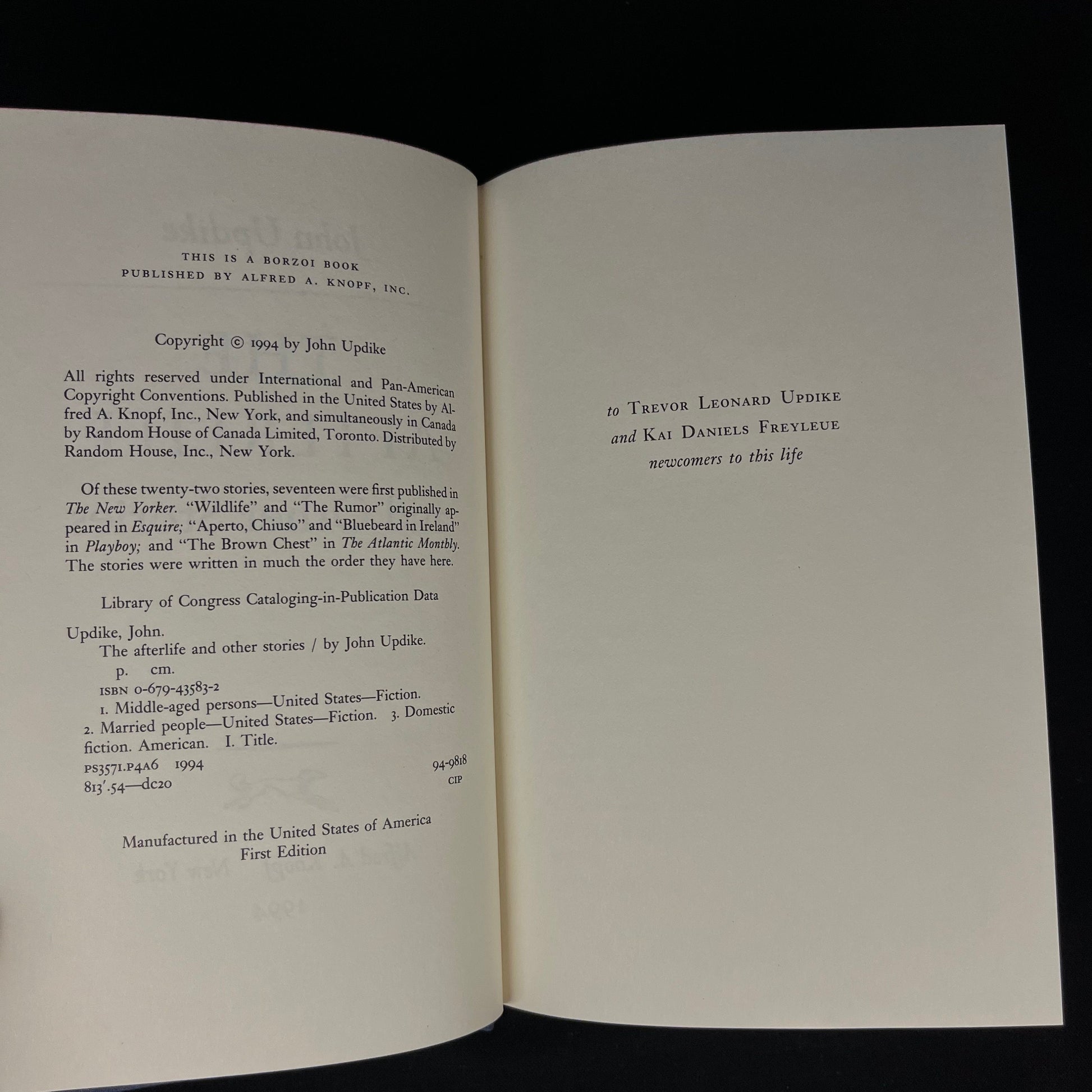 First Printing - The Afterlife and Other Stories by John Updike (1994) Vintage Hardcover Book