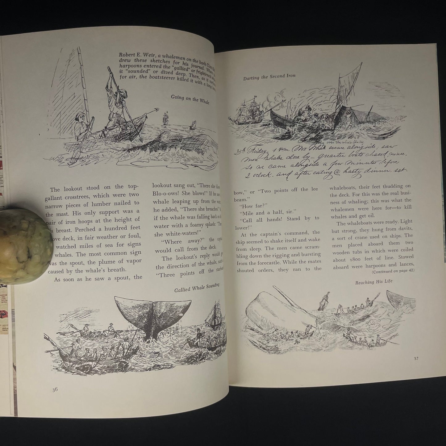 The Story of Yankee Whaling by Irwin Shapiro in consultation with Edouard A. Stackpole (1959) Vintage Hardcover Children’s Book