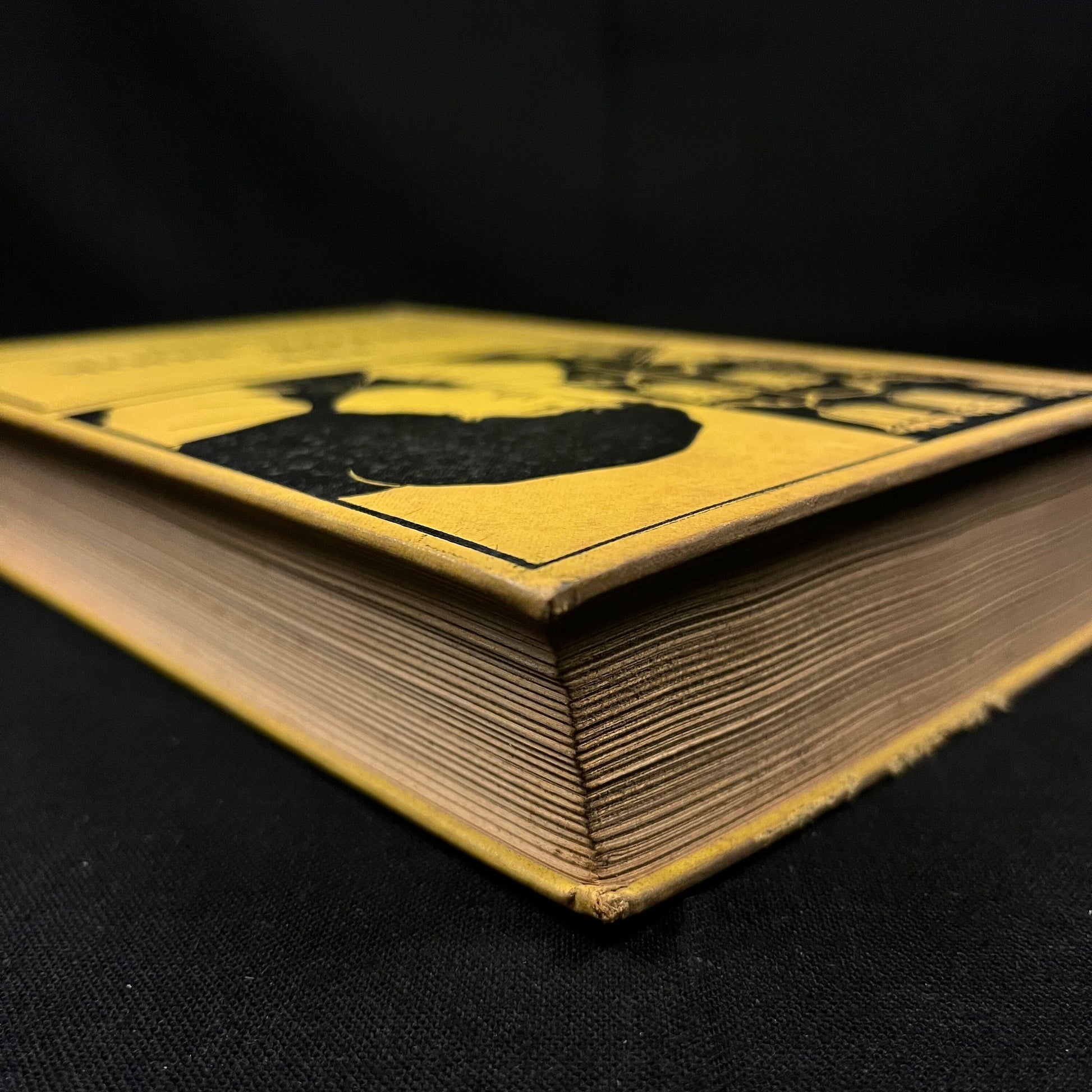 The Yellow Book: A Selection Edited by Cedric Ellsworth Smith (1928) Vintage Hardcover Book