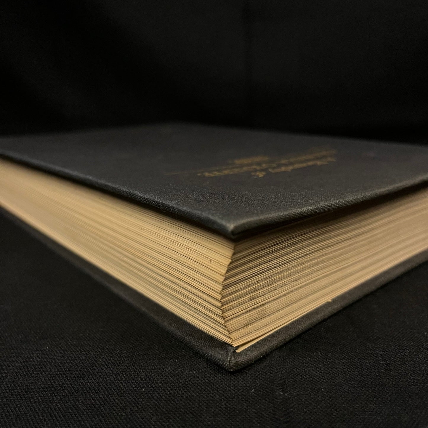 First Edition - Portrait of an Artist: A Biography of Georgia O'Keeffe by Laurie Lisle (1980) Vintage Hardcover Book