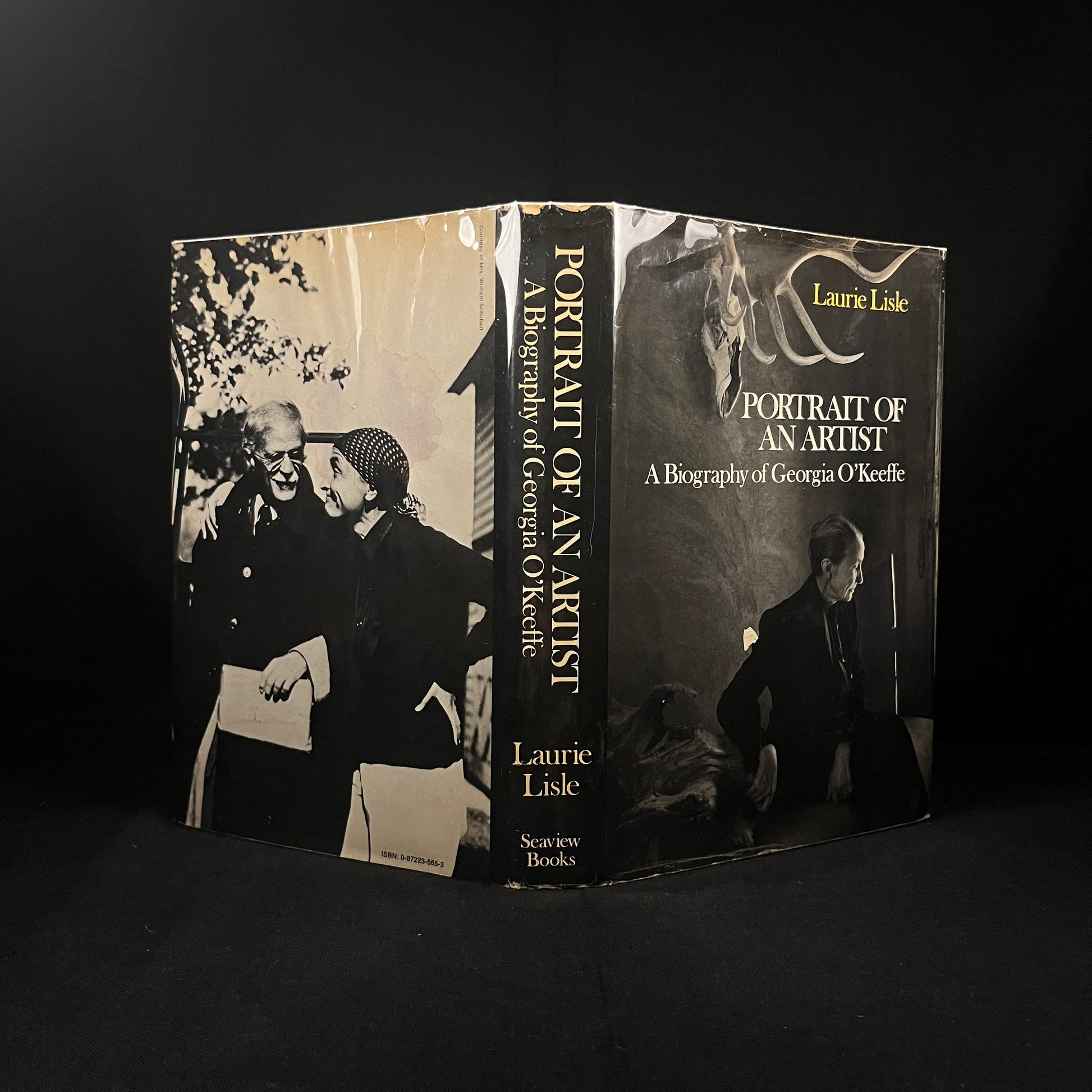 First Edition - Portrait of an Artist: A Biography of Georgia O'Keeffe by Laurie Lisle (1980) Vintage Hardcover Book